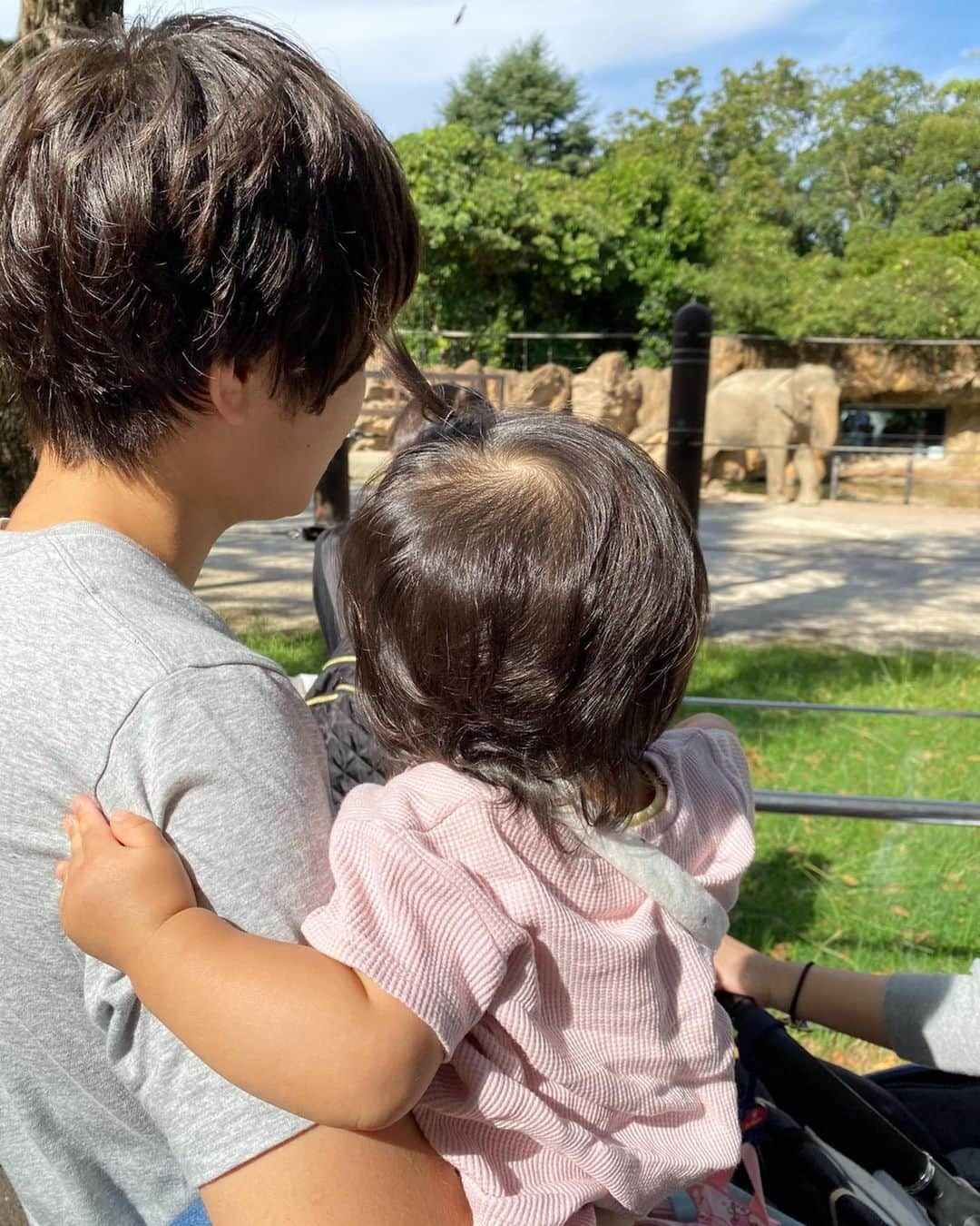 クロさんのインスタグラム写真 - (クロInstagram)「サイdnd daughter🦏🦏🦏🦏🦏 サイってメッチャでかいよね! なんかツノでボールツンツンしてて遊んでおった カバとか本当グデーーーってしてたよね 今日は家族で上野動物園へ🐘🦒 娘も靴を履いて、ちょこちょこ歩いたり、楽しい時間になりました😌🙌🏽　詳しくはブログに書きました✍🏽✍🏽. . #1y2m17d #生後443日　#ちびクロdiary  #baby #女の子ママ #あいのり #ママリ#ベビフル #コドモノ #赤ちゃんのいる生活 #mamagirl #親バカ部 #楽天ROOM #smiling #smilingbaby #うちのおにぎりちゃん #smilingiscontagious #笑顔の連鎖 #ちびクロdiary」10月26日 20時00分 - kuro_risa