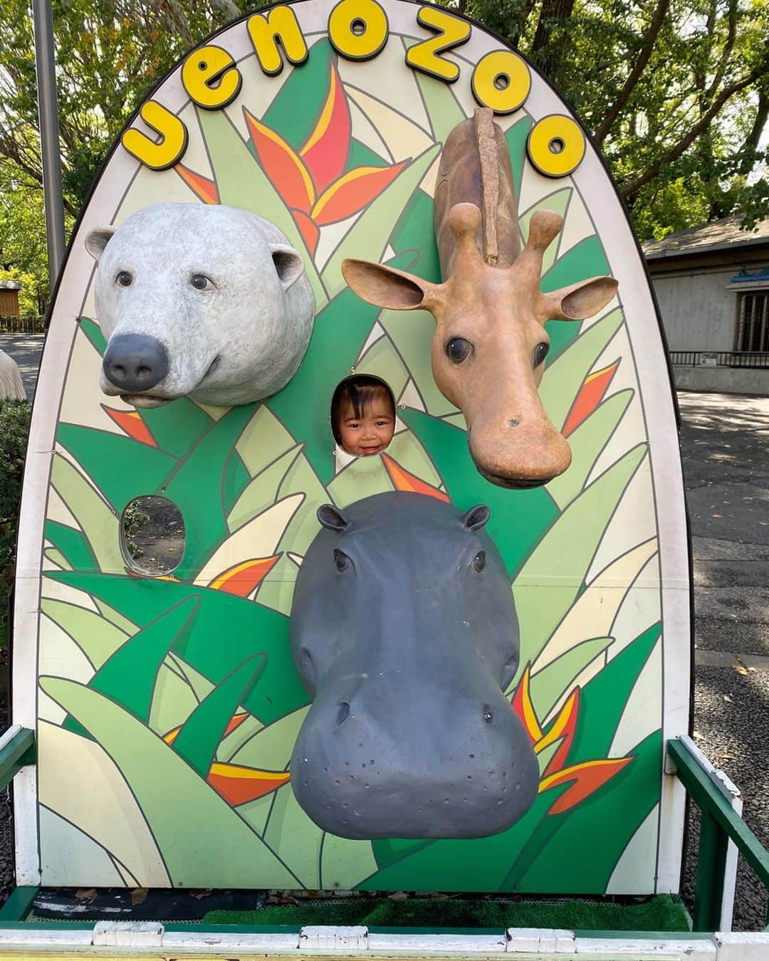 クロさんのインスタグラム写真 - (クロInstagram)「サイdnd daughter🦏🦏🦏🦏🦏 サイってメッチャでかいよね! なんかツノでボールツンツンしてて遊んでおった カバとか本当グデーーーってしてたよね 今日は家族で上野動物園へ🐘🦒 娘も靴を履いて、ちょこちょこ歩いたり、楽しい時間になりました😌🙌🏽　詳しくはブログに書きました✍🏽✍🏽. . #1y2m17d #生後443日　#ちびクロdiary  #baby #女の子ママ #あいのり #ママリ#ベビフル #コドモノ #赤ちゃんのいる生活 #mamagirl #親バカ部 #楽天ROOM #smiling #smilingbaby #うちのおにぎりちゃん #smilingiscontagious #笑顔の連鎖 #ちびクロdiary」10月26日 20時00分 - kuro_risa