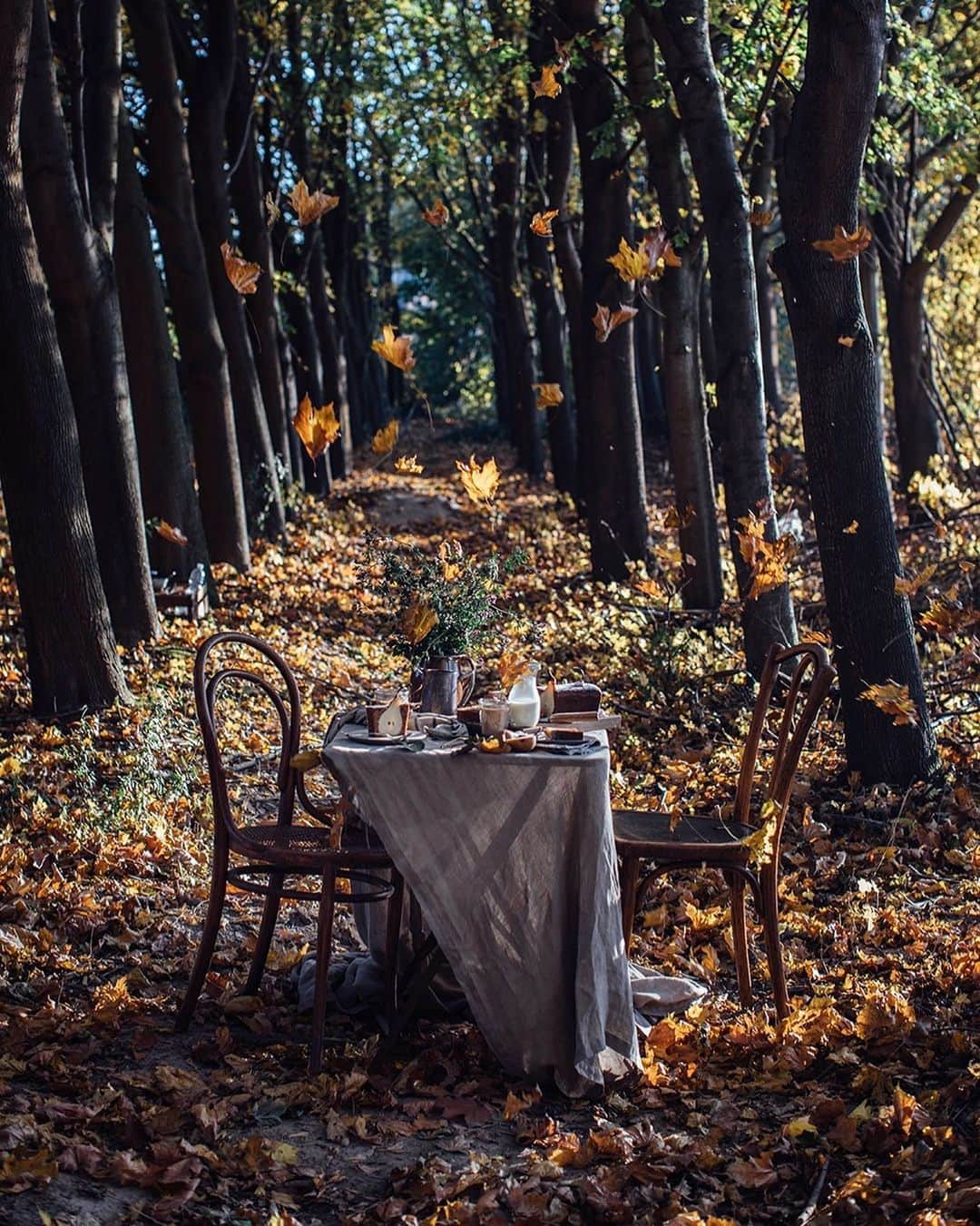 Our Food Storiesさんのインスタグラム写真 - (Our Food StoriesInstagram)「Autumn is in full swing, so here you go for our favorite autumn scene 🤗🍁 Happy weekend guys! #ourfoodstories_countryside  _____ #tabledecoration #tabledecor #gatheringslikethese #momentslikethese #fellowmag #simplejoys #diewocheaufinstagram #theweekoninstagram #foodstylist #foodphotographer #germanfoodblogger #autumnvibes #autumnmood #countrysidelife #countrysideliving」10月26日 20時31分 - _foodstories_