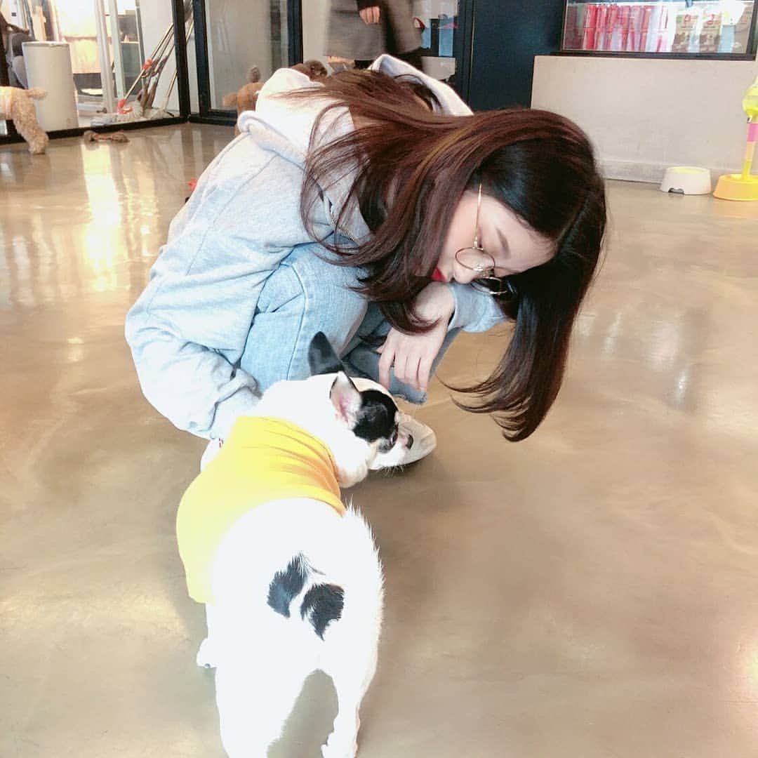 Mnetさんのインスタグラム写真 - (MnetInstagram)「⠀ 멍뭉이들이랑 놀았어요🥳💕 ⠀ #플로버 #보고싶어 #서연 #🐶」10月26日 20時33分 - officialfromis_9