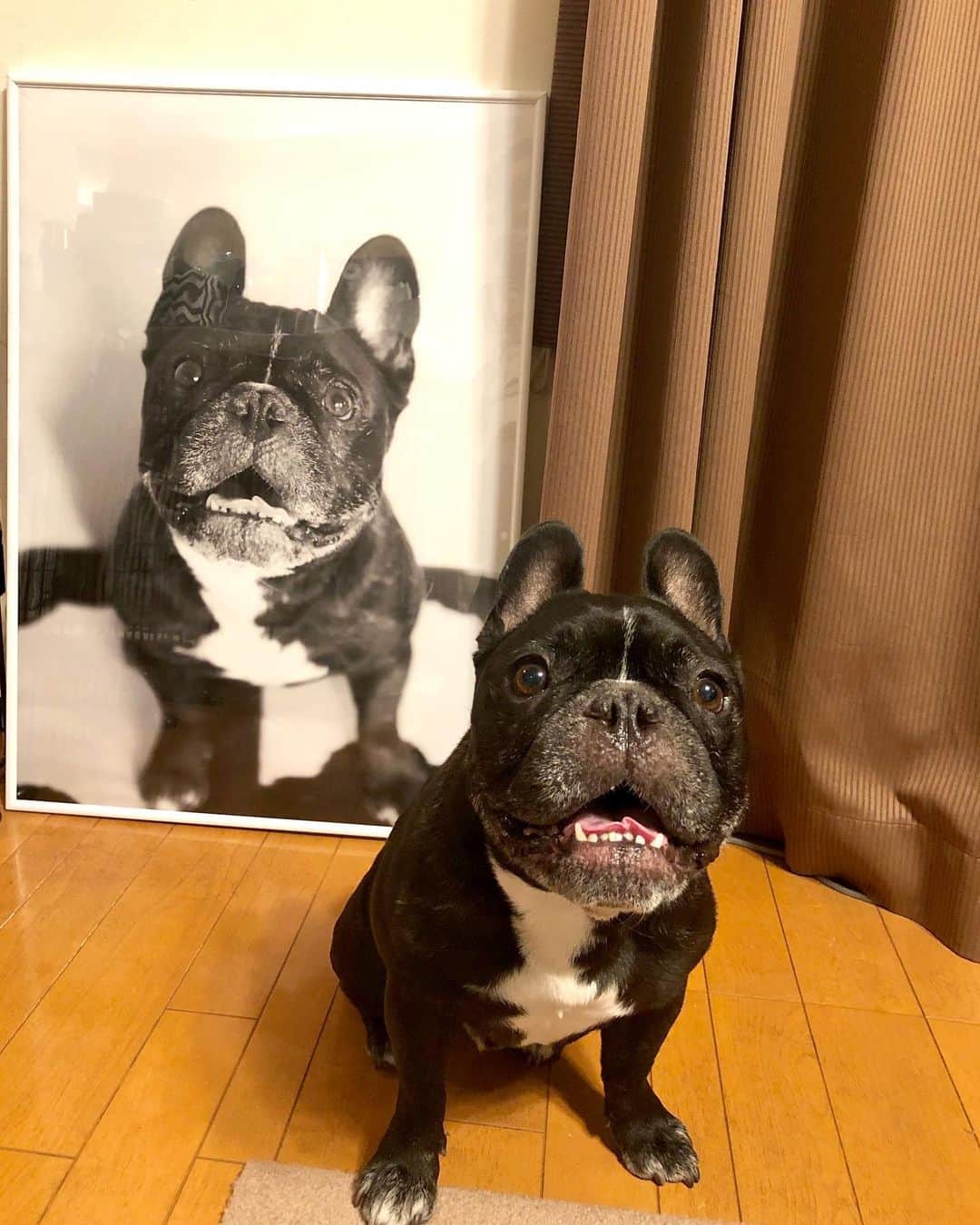 Turbo_dad フレブルのターボのインスタグラム