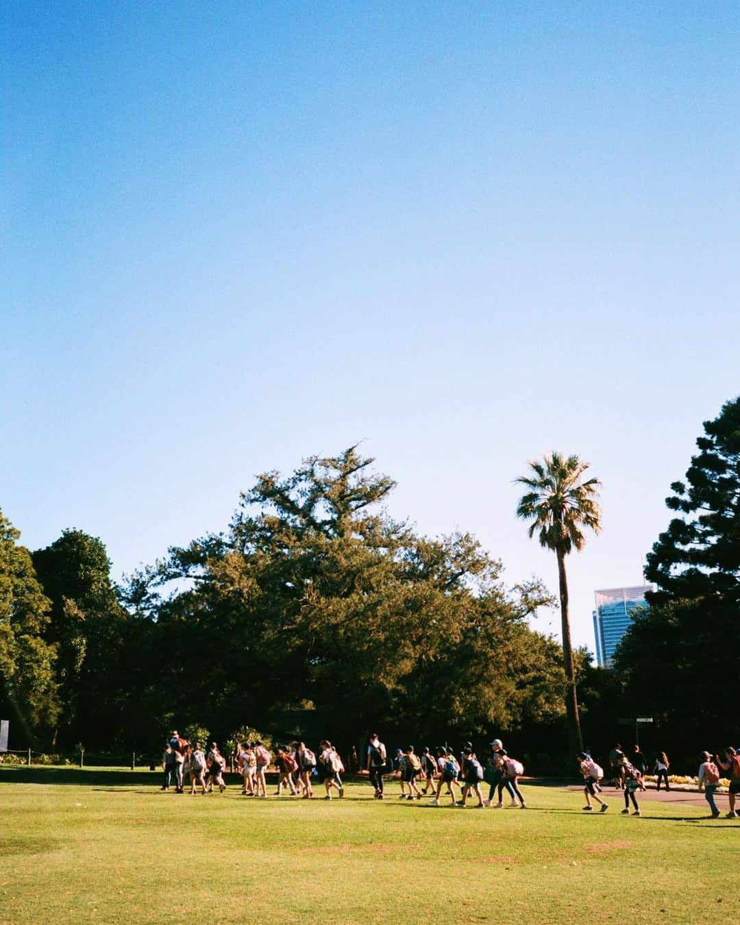 星野源さんのインスタグラム写真 - (星野源Instagram)「Memories of Sydney 3」10月26日 21時08分 - iamgenhoshino