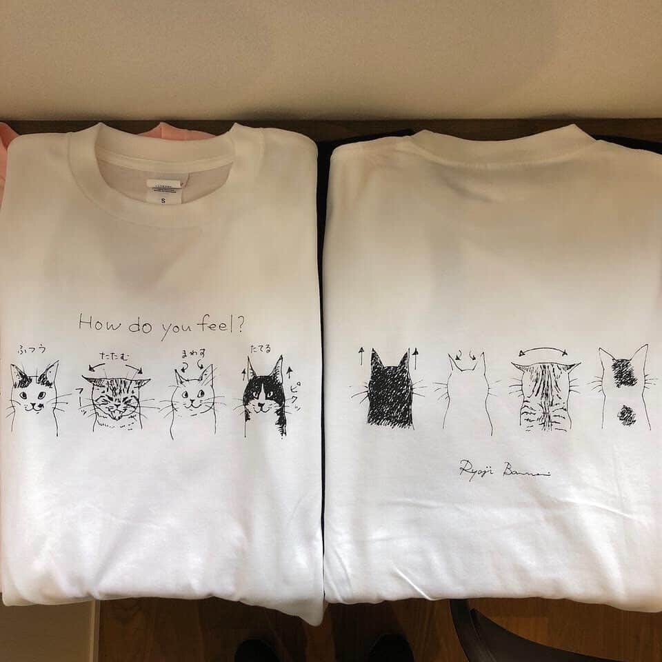 yamanekoさんのインスタグラム写真 - (yamanekoInstagram)「ついに明日、モトニャワタでTシャツデビューだよ😹 木彫り猫らも三匹ゴロゴロして待ってます @mikenekozakka  #モトニャワタ #tシャツ #三毛猫雑貨店 #バンナイリョウジ」10月26日 22時06分 - yamaneko5656