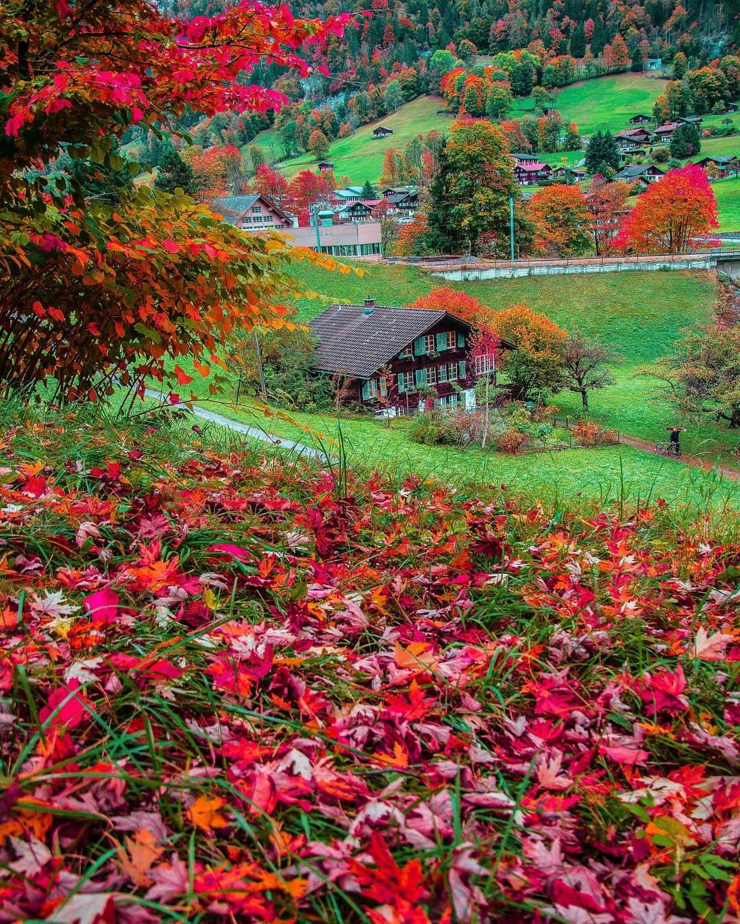 Hatice Korkmaz The Color Queenのインスタグラム：「Lost in fall💝🍁🍂 in #lauterbrunnen #switzerland @lauterbrunnen #nature #autumn #love #color」