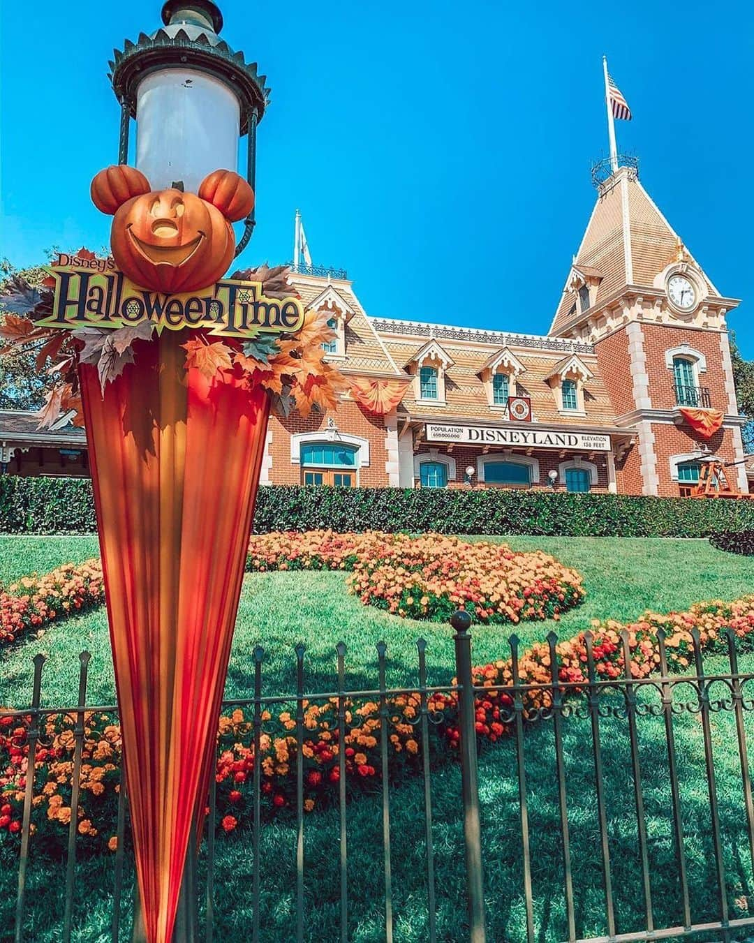 ディズニーランドさんのインスタグラム写真 - (ディズニーランドInstagram)「Happy #NationalPumpkinDay! Comment 🎃 to celebrate #HalloweenTime (📷: @adventureswithmelmay」10月26日 23時08分 - disneyland