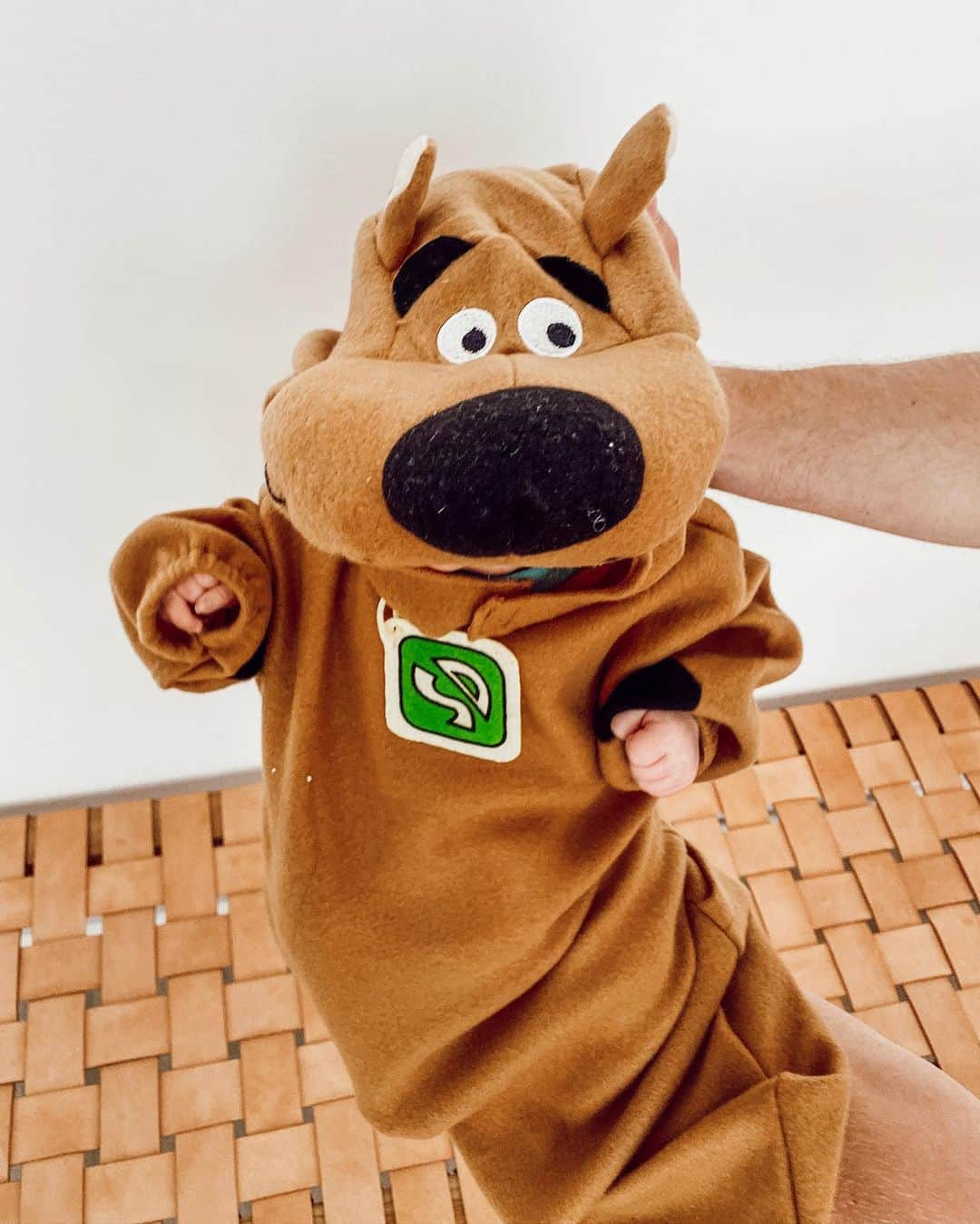 Aspyn Ovard Ferrisさんのインスタグラム写真 - (Aspyn Ovard FerrisInstagram)「My baby Scooby Doo’s!! Neither of them loved their costumes 😂」10月27日 4時47分 - aspynovard