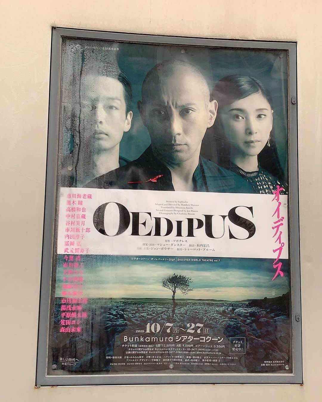 鳳翔大さんのインスタグラム写真 - (鳳翔大Instagram)「『オイディプス』観劇へ行ってきました！  凄かった… 終演後しばらく、席を立てませんでした。。💦 ギリシャ悲劇の作品なので、舞台も客席も恐ろしい程の緊張感で、ラストシーンは鳥肌が立ち息も出来ない程でした。  しょうこさんのお芝居の素晴らしいのはもちろん、とにかく美しくて可愛いくて…❤️ 12月のトーク&ライブが益々楽しみになりました‼️ 今日は、その時に一緒に出る、桜乃彩音ちゃんと一緒に観劇しましたー😜  大掃除は早めに！ 年末は空けておいてねー😆  #オイディプス #シアターコクーン #黒木瞳　さん #桜乃彩音」10月26日 23時30分 - dai_hosho_official