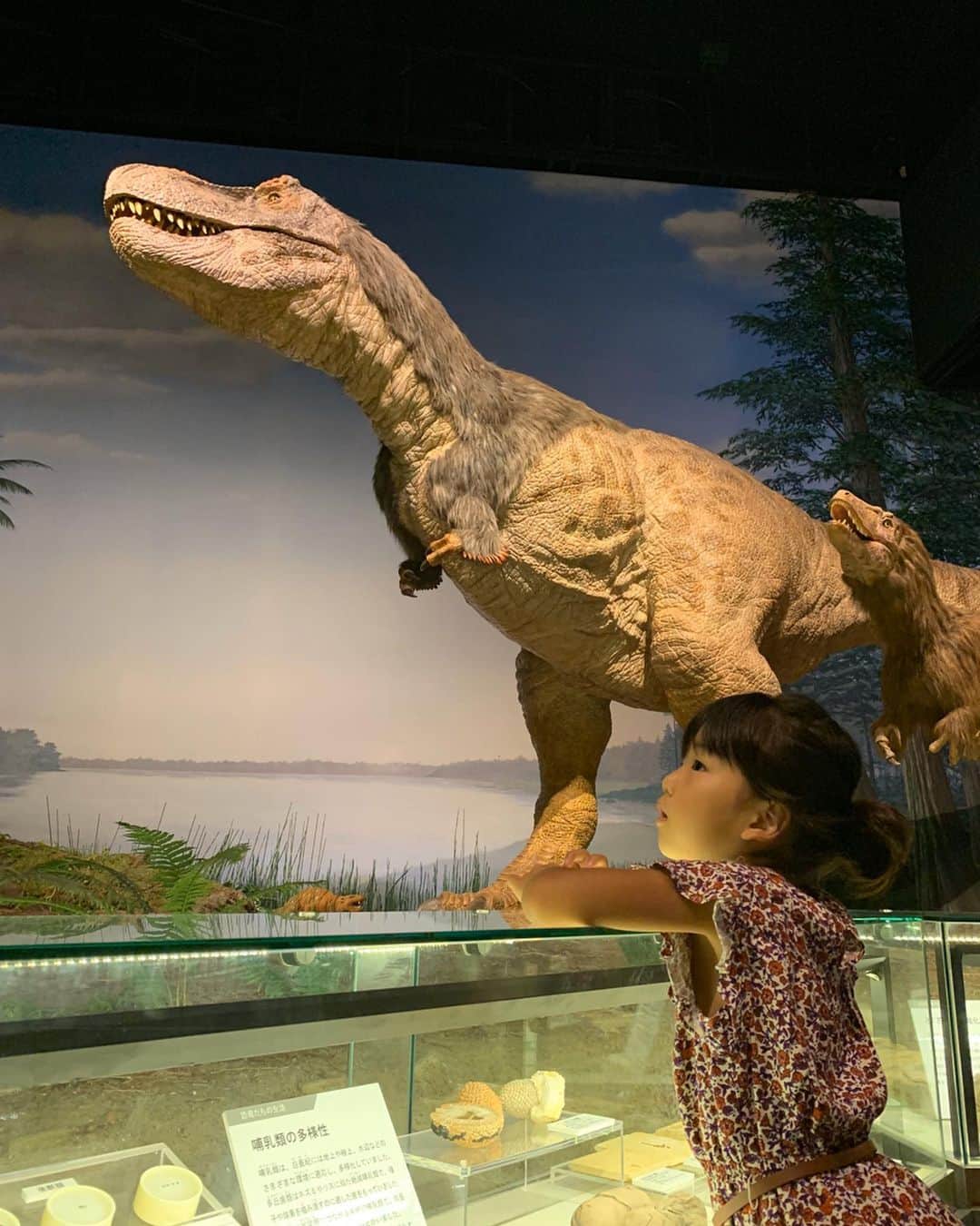 SAYUKAさんのインスタグラム写真 - (SAYUKAInstagram)「恐竜って 何歳になってもわくわくする））🦖🌟 #探検隊 #ダイナソー」10月26日 23時35分 - sayumiso216