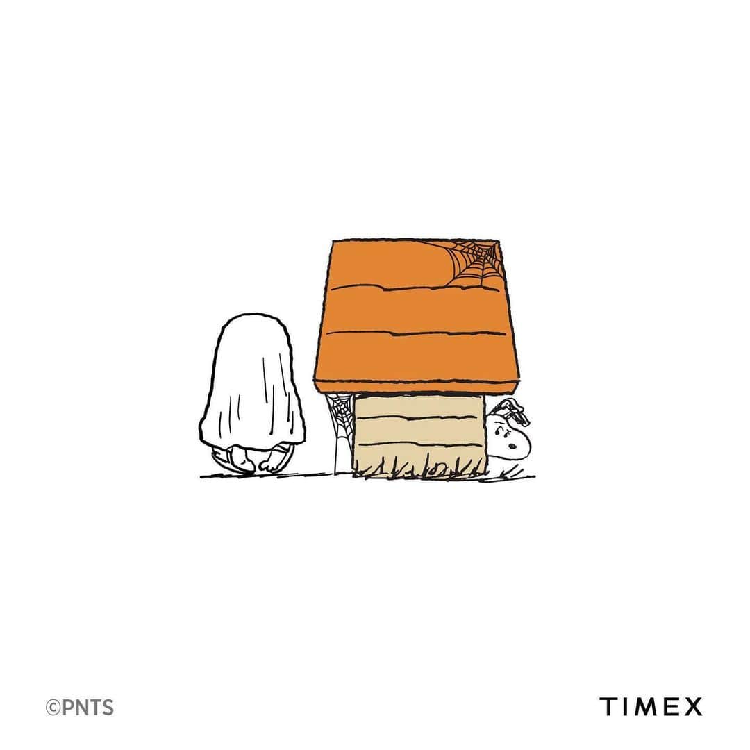 タイメックスさんのインスタグラム写真 - (タイメックスInstagram)「Creep it real with Charlie Brown and his pals this Halloween! 🎃  #timex #peanuts #snoopy #halloween #thegreatpumpkin ⌚: Timex x Peanuts Marlin® Automatic featuring Snoopy ⌚: Timex x Peanuts Exclusive for Todd Snyder ⌚: Timex x Peanuts Welton featuring Snoopy」10月27日 0時01分 - timex