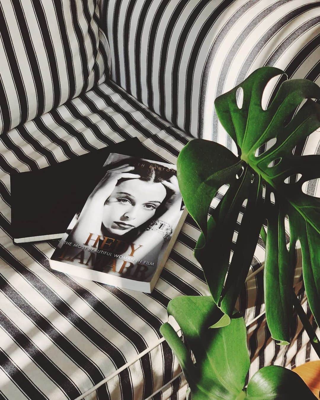 ガル・ガドットさんのインスタグラム写真 - (ガル・ガドットInstagram)「My reading plans for the weekend :) Can't wait to dive into this exciting project, that I will be producing with @jaronvarsano as Pilot Wave, and to tell Hedy Lamarr's incredible story.  It's such a privilege to be able to tell these remarkable stories.」10月26日 23時52分 - gal_gadot