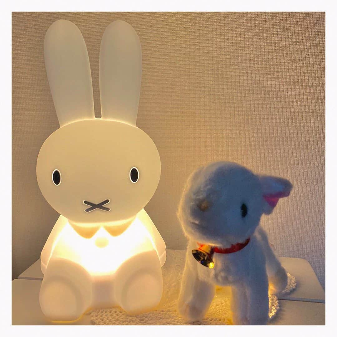 星名あゆみさんのインスタグラム写真 - (星名あゆみInstagram)「🌙🎑 ・ ﻿ ﻿ #ミッフィー #ミッフィーファーストライト #miffy #miffyfirstlight #lamp #miffylamp #miffycollection  #ミッフィー #ミッフィーグッズ #ミッフィースタイル #ミッフィーちゃん #ハイジ #ぬいぐるみ」10月27日 0時19分 - hoshina_ayumi