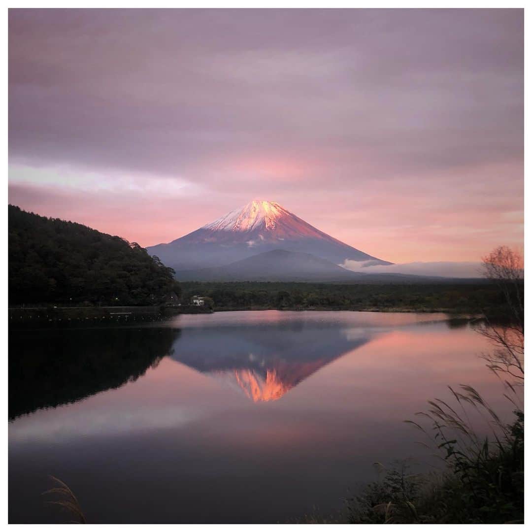 岩崎拓馬さんのインスタグラム写真 - (岩崎拓馬Instagram)「Mt Fuji . しあわせのおすそわけ . . . #精進湖 #富士山 #happytime」10月27日 1時00分 - happy_takuma