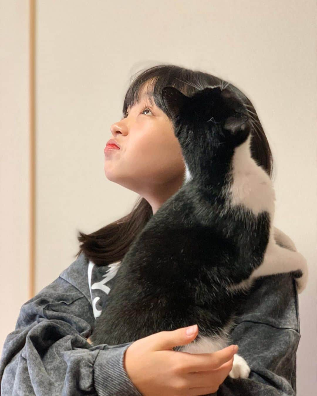 Hinataさんのインスタグラム写真 - (HinataInstagram)「. . 癒しの時間〜💓💓 愛猫のSUNちゃん😻 . 時々ひなたチャンネルにも出演してるんだよ🤟 . お部屋改造も完成したし 撮影頑張ってやって行くね🤗✨✨ . みんなも素敵な日曜日を✨✨ . . #愛猫 #SUN #中学生の日曜日 #癒しの時間 #仲良し家族 #宿題もやらなきゃ #クラージュキッズ #Hinata #ひなた #コメントやいいねありがとう #メッセージ読んでるよ #ひなちょす大好き」10月27日 12時34分 - hinachosugram