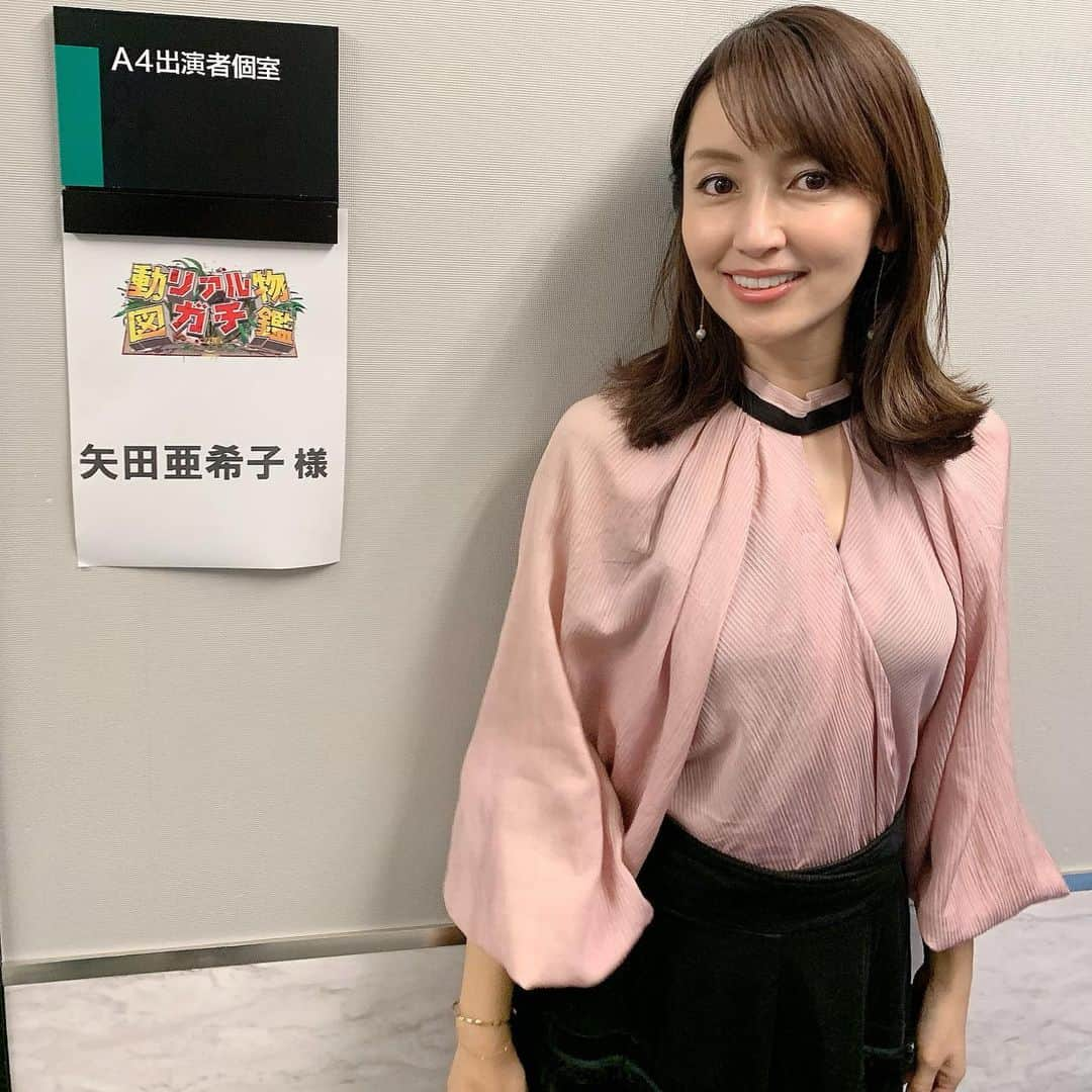 矢田亜希子さんのインスタグラム写真 - (矢田亜希子Instagram)「【オンエア】 2019年10月28日(月)19：00〜21：00 TBS『動物リアルガチ図鑑』 #動物リアルガチ図鑑#出川哲郎　さん#面白かった#感動#バラエティ番組#tbs 衣装は#velnica」10月27日 12時38分 - akiko_yada