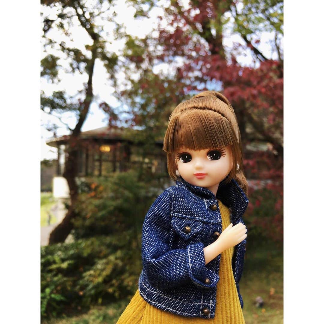 リカちゃんさんのインスタグラム写真 - (リカちゃんInstagram)「I found an #acorn in the park♪ どんぐりころころ♪ 公園で #どんぐり を発見☆ 1個、2個、3個…たくさん集めちゃった♡ ミキちゃんマキちゃんにも見せてあげようっと☆ よろこんでくれるかな？♪ #リカちゃん #fashion #ootd #hairstyle #licca #liccadoll #japanesedoll #japan #girl #instadaily #instagood #instagramjapan #instagram」10月27日 13時00分 - bonjour_licca