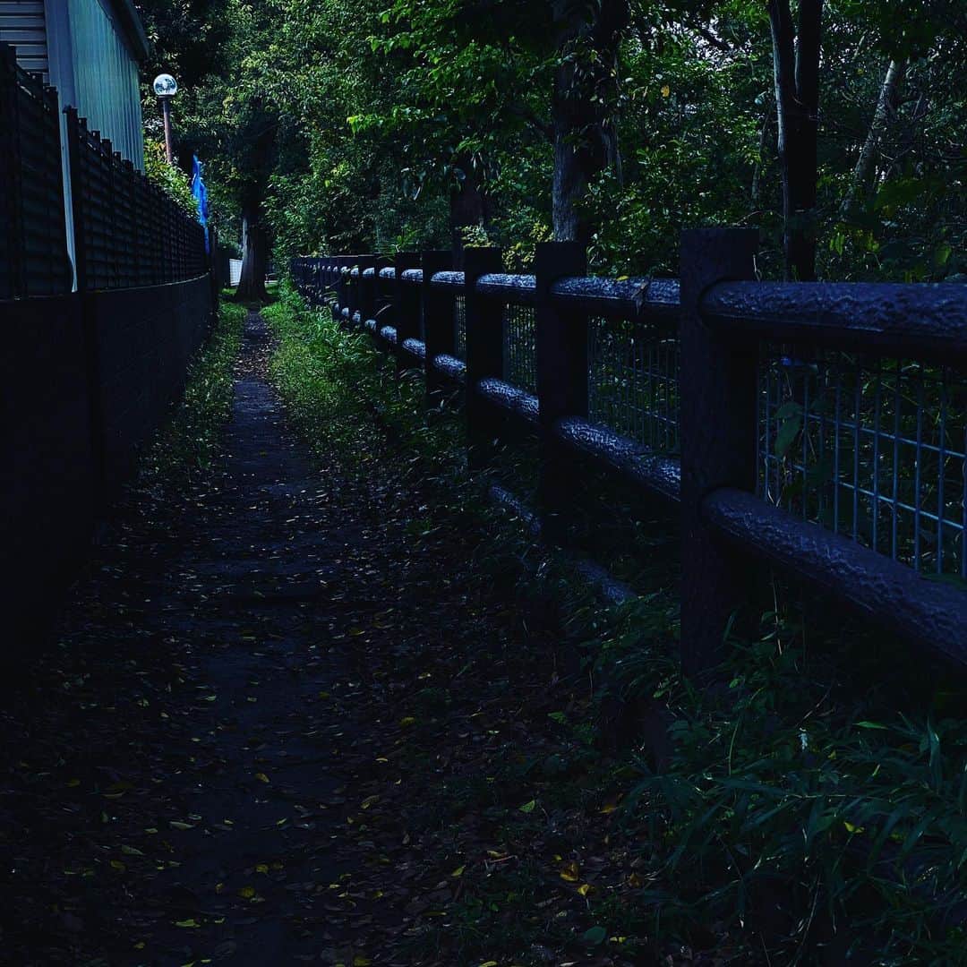 松村太郎さんのインスタグラム写真 - (松村太郎Instagram)「#Walking #TamagawaAqueduct session 1. The dark path continues to #Inokashira park. #ShotoniPhone11 #DeepFusion, maybe.」10月27日 13時02分 - taromatsumura