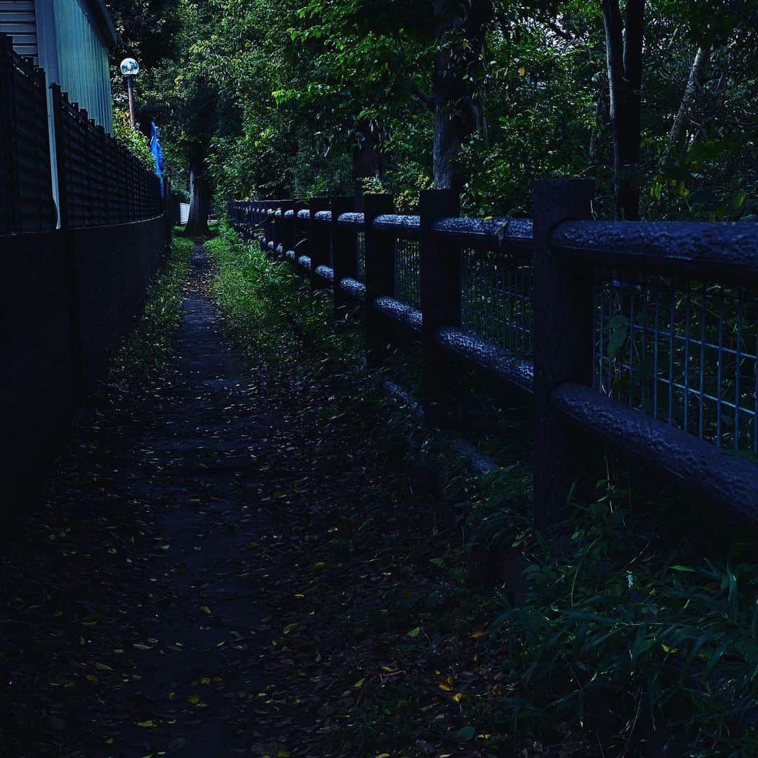 松村太郎のインスタグラム：「#Walking #TamagawaAqueduct session 1. The dark path continues to #Inokashira park. #ShotoniPhone11 #DeepFusion, maybe.」