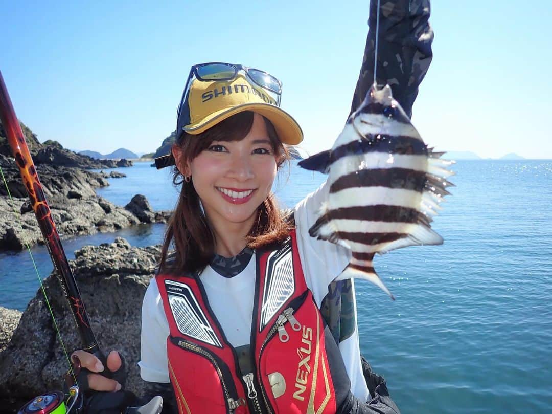 阪本智子のインスタグラム