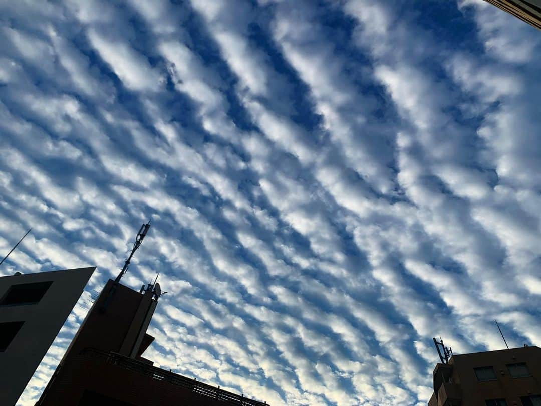 澤田友美さんのインスタグラム写真 - (澤田友美Instagram)「. なーんだぁ　空一面この鱗雲🧙‍♀️」10月27日 6時46分 - tomomi__sawada