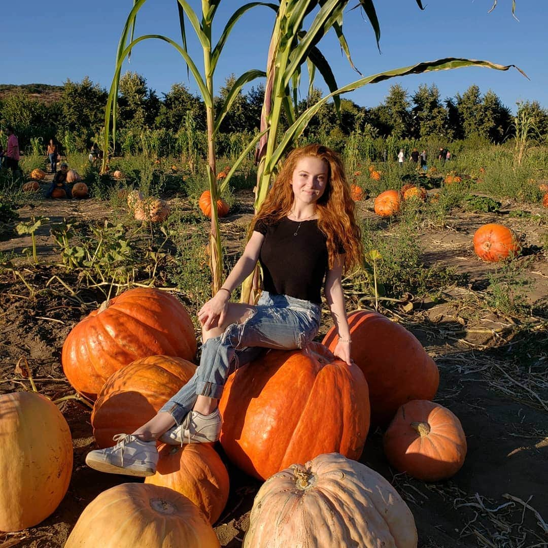 フランチェスカ・カパルディさんのインスタグラム写真 - (フランチェスカ・カパルディInstagram)「Happy National Pumpkin Day! 🎃🍁🍂 . . #pumpkins #pumpkinpatch #fallbucketlist #halloween #nationalpumpkinday #pumpkincarving #beyou #bekind #jmbn #love #💙 #beunique #autumn」10月27日 7時39分 - francescacapaldi