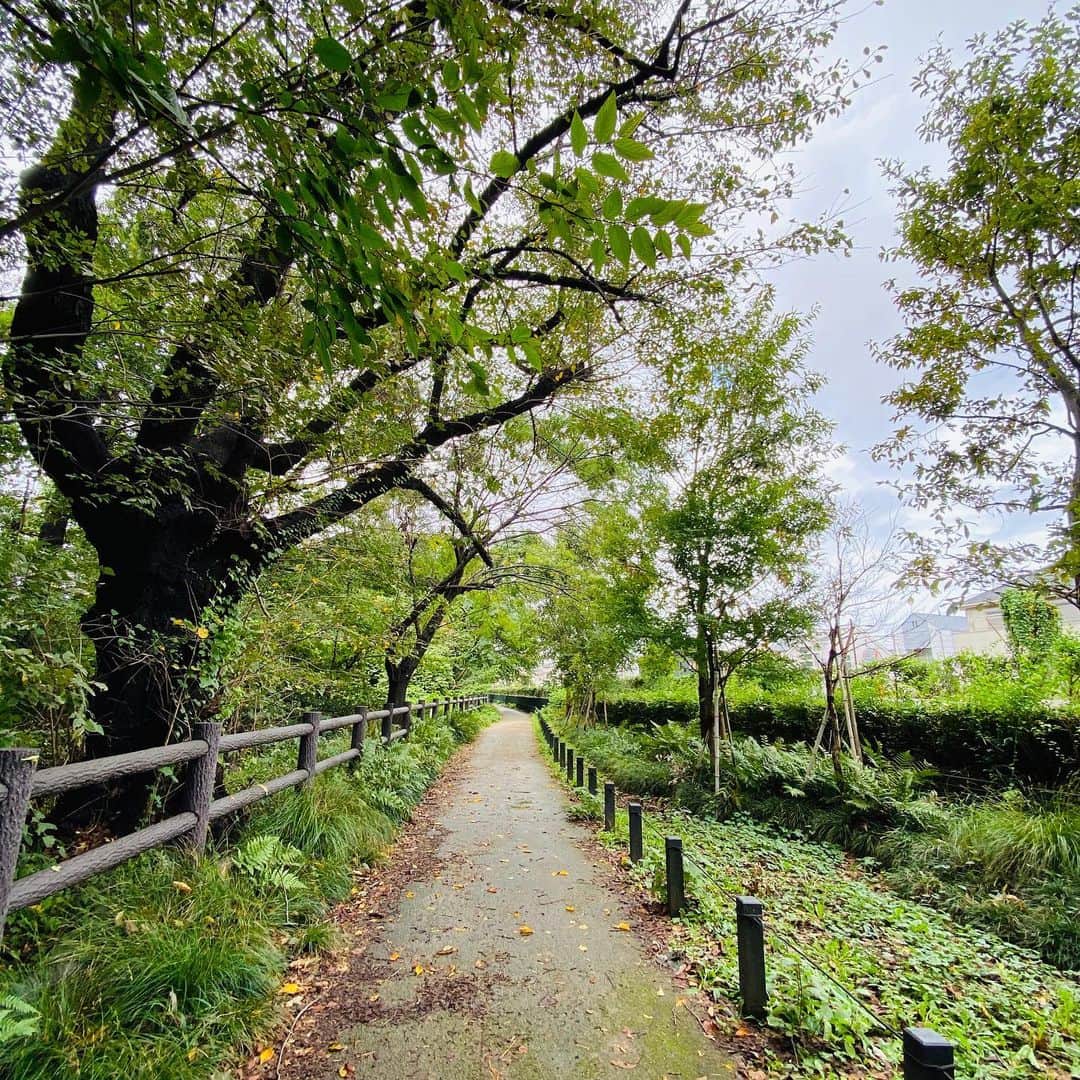 松村太郎のインスタグラム：「27mi. #TamagawaAqueduct was built in 1654 to provide drinking water to Edo city from Tamagawa river. Tokyo Met. is remodeling the aqueduct as park to preserve the historical public works and nature.  小学校時代を #玉川上水 沿いで過ごしたため、社会科では厚めに学んだ江戸時代の土木工事。2年生ぐらいの頃、自転車で四谷大木戸から羽村まで自転車で走破しようとして断念し、途中の野川公園で折り返したことも。」