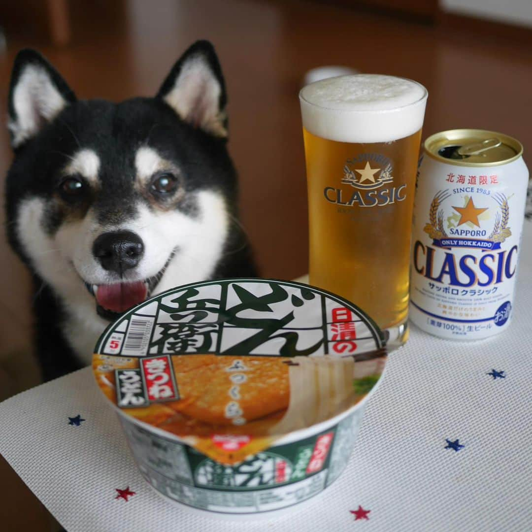 くろさんのインスタグラム写真 - (くろInstagram)「朝ビール朝どん兵衛🍺🦊 #朝ビール #朝どん兵衛 #モーニングビア #モーニングどん兵衛 #朝からビール #朝ビ #サッポロクラシック #OnlyHokkaido # #⭐️SAPPORO #サッポロビール #日清のどん兵衛 #どん兵衛 #きつねうどん #カメラ目線犬 #黒柴 #柴犬 #和犬 #日本犬 #柴犬と一緒 #柴犬のいる暮らし #柴犬のいる生活 #わんこと一緒 #わんこのいる生活 #わんこのいる暮らし #わんダフォ #わんだふるJapan」10月27日 9時20分 - m6bmw