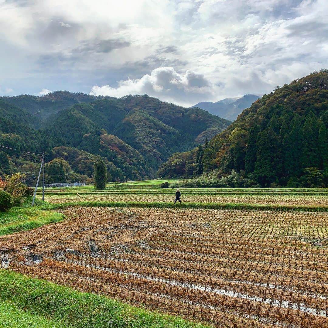 たなしんのグルメインスタ