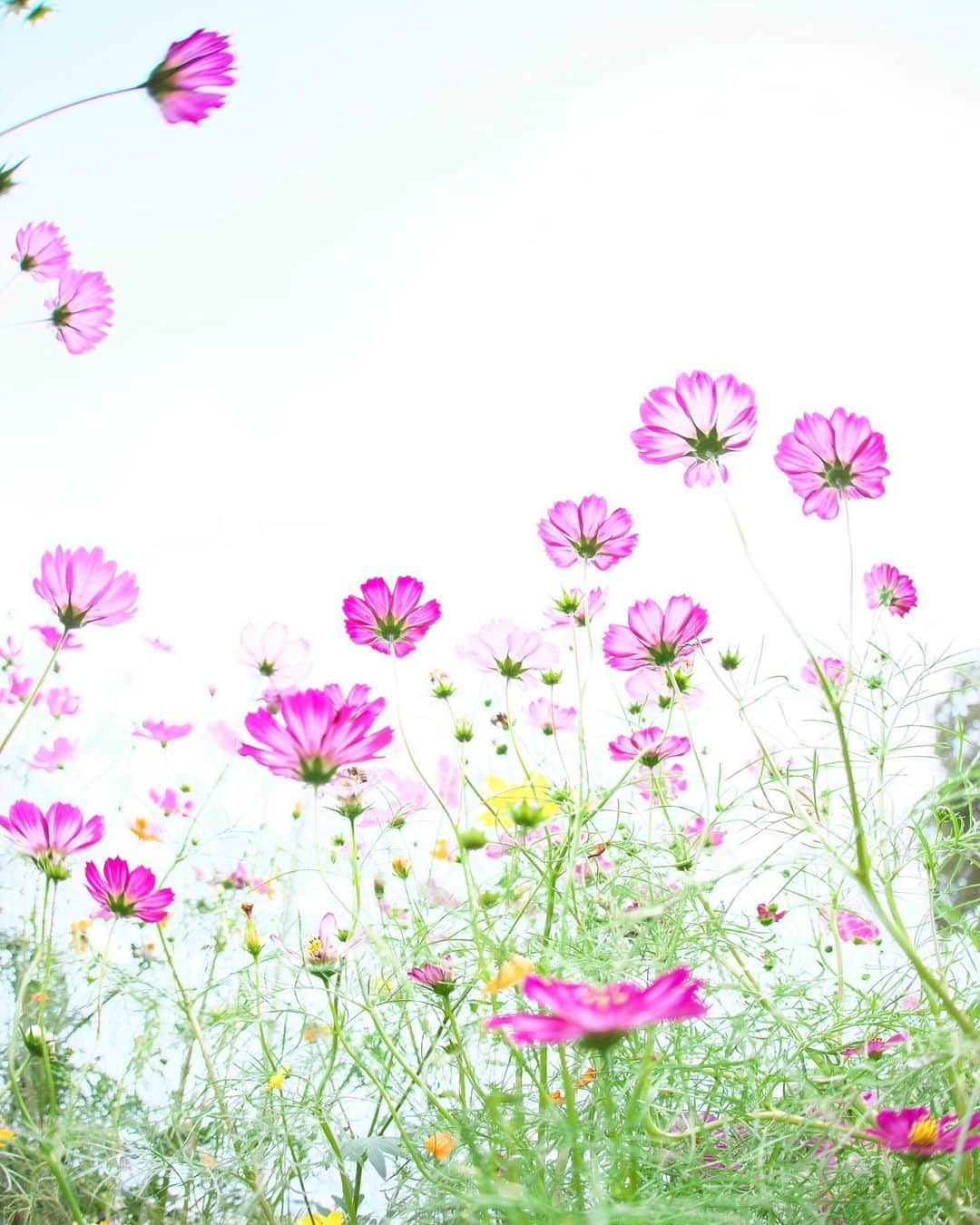 kiccyomuのグルメインスタ