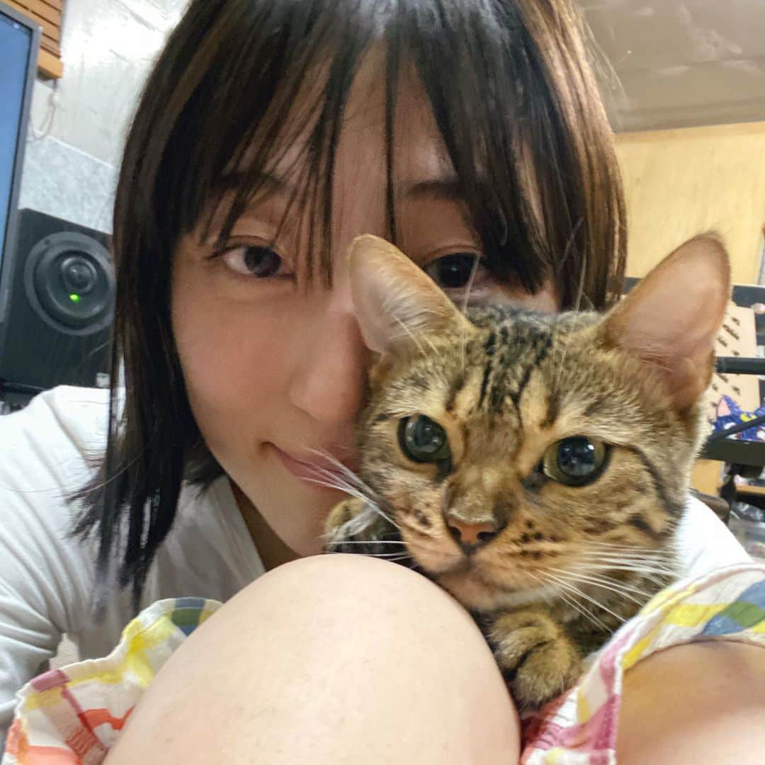 沙田瑞紀さんのインスタグラム写真 - (沙田瑞紀Instagram)「🥰🐱🌷　#むー」10月27日 10時37分 - mizuki_masuda