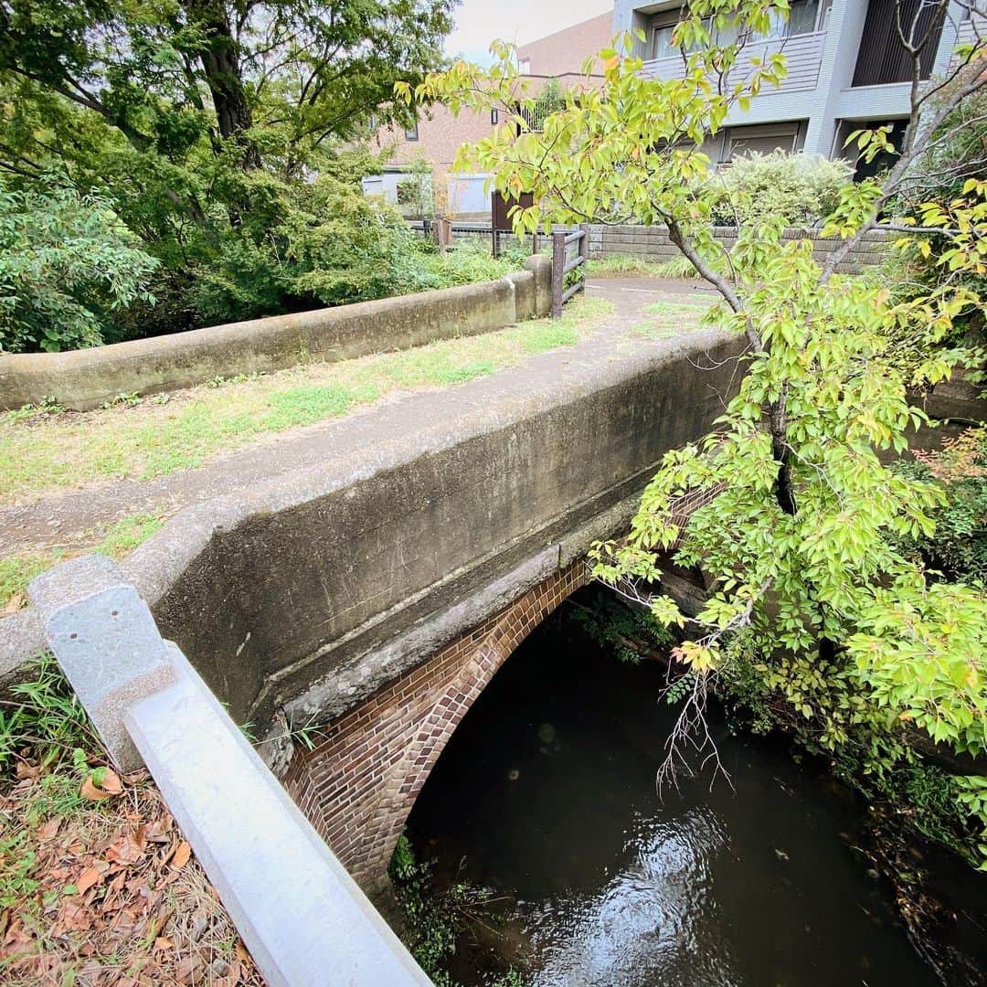 松村太郎さんのインスタグラム写真 - (松村太郎Instagram)「Old #MureBridge on #TamagawaAqueduct.  #玉川上水 にかかる #牟礼橋。近辺は大きな道路が整備されてました。 #ぶらぶら散歩 #👣 #ShotoniPhone11 #Ultrawide」10月27日 10時47分 - taromatsumura