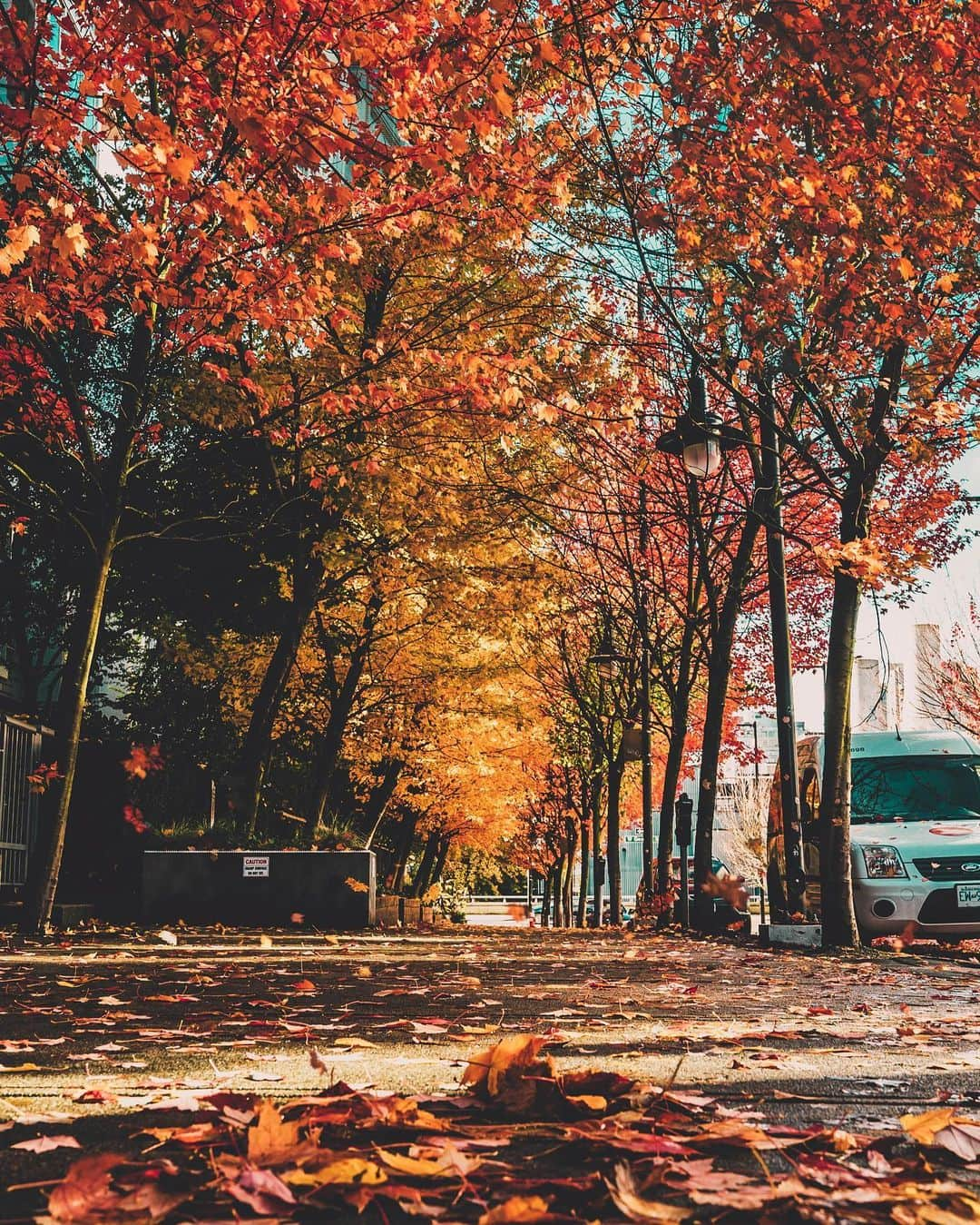 YUYAのインスタグラム：「. カナダに来てもうすぐ半年🍁 半年前と比べて、少しは成長したのかな、 と自問自答を繰り返す日々。 残り半年でどこまで成長できるんだろう。 あと何日って数える必要がない人生って この先ないのかな。 . #海外留学#留学#カナダ#バンクーバー#カナダ留学#英語留学#ワーホリ#workingholiday#canada#vancouver#nikon#light_nikon#gopro#goprojp#FlyJAL#anaタビキブン#lightroom#photoshop#adobe#gooverseas#workingholiday#travel#traveling#travel #aroundtheworld#유학#세부유학#워킹홀리데이」