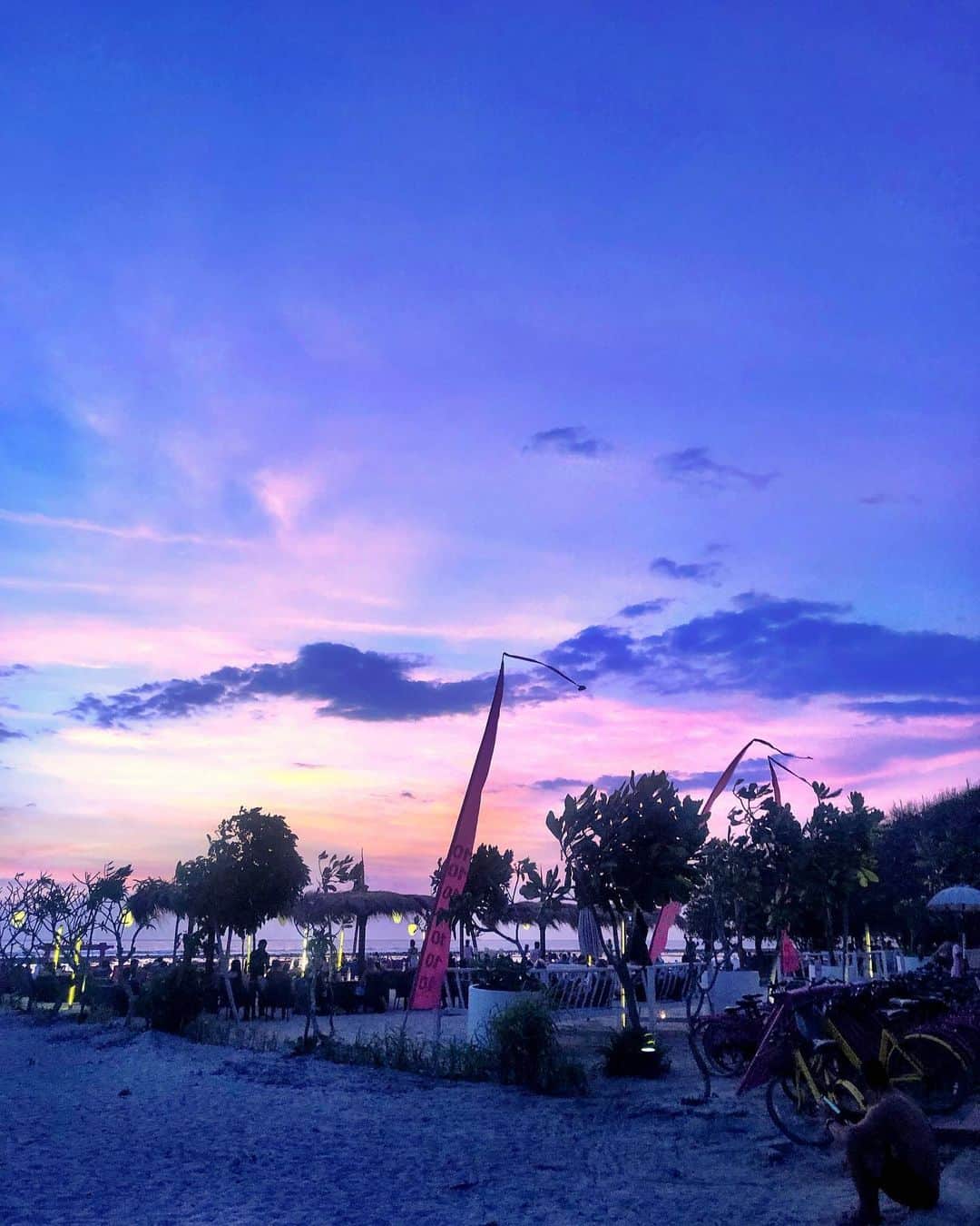 のインスタグラム：「💎💜💓💜💎 #BALI #trip #balitrip #sky #gili #giliisland #gilitrawangan」