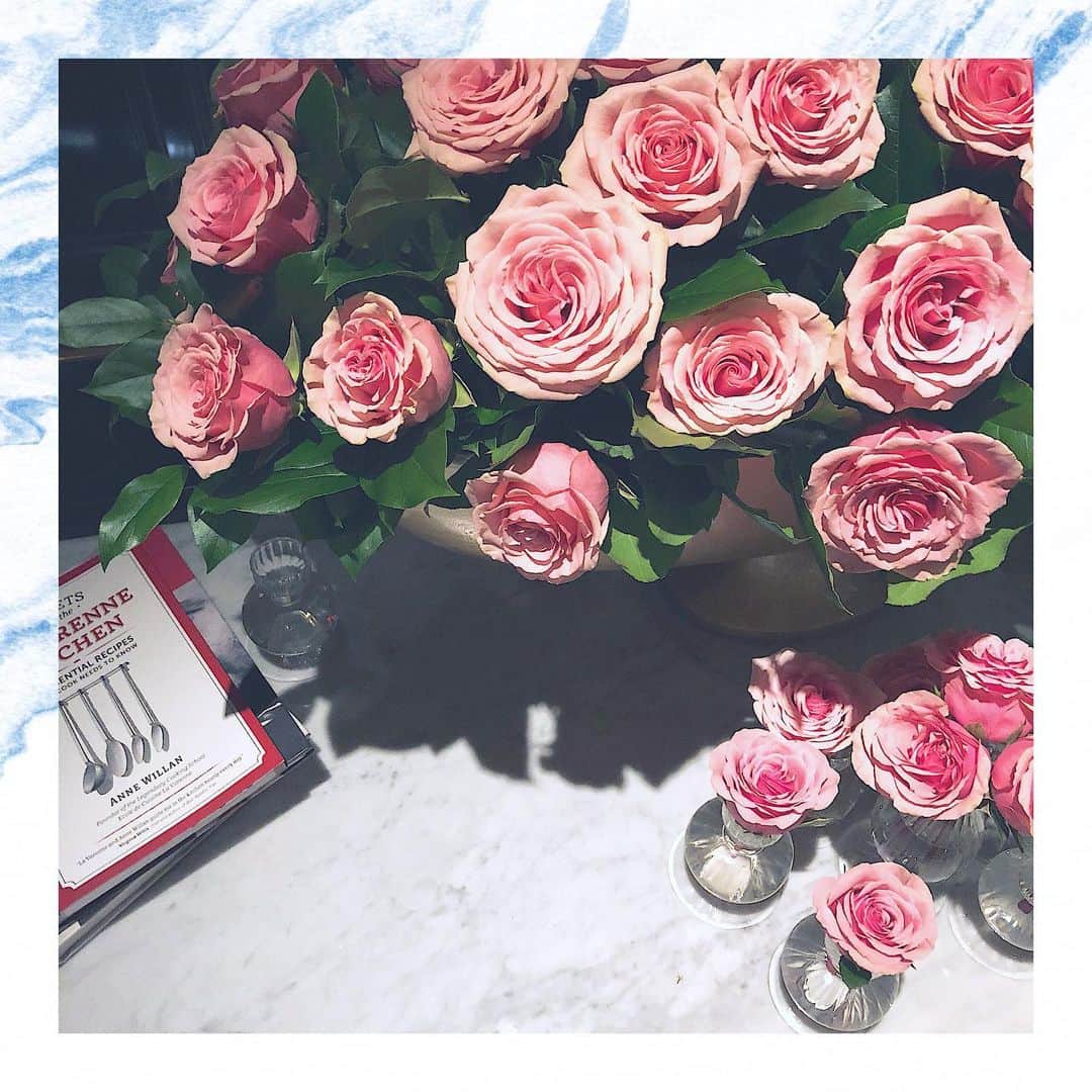 RisaWisteriaのインスタグラム：「ちっちゃくポコポコ生けるのも可愛いな🌸  #rose#flowers#pink」