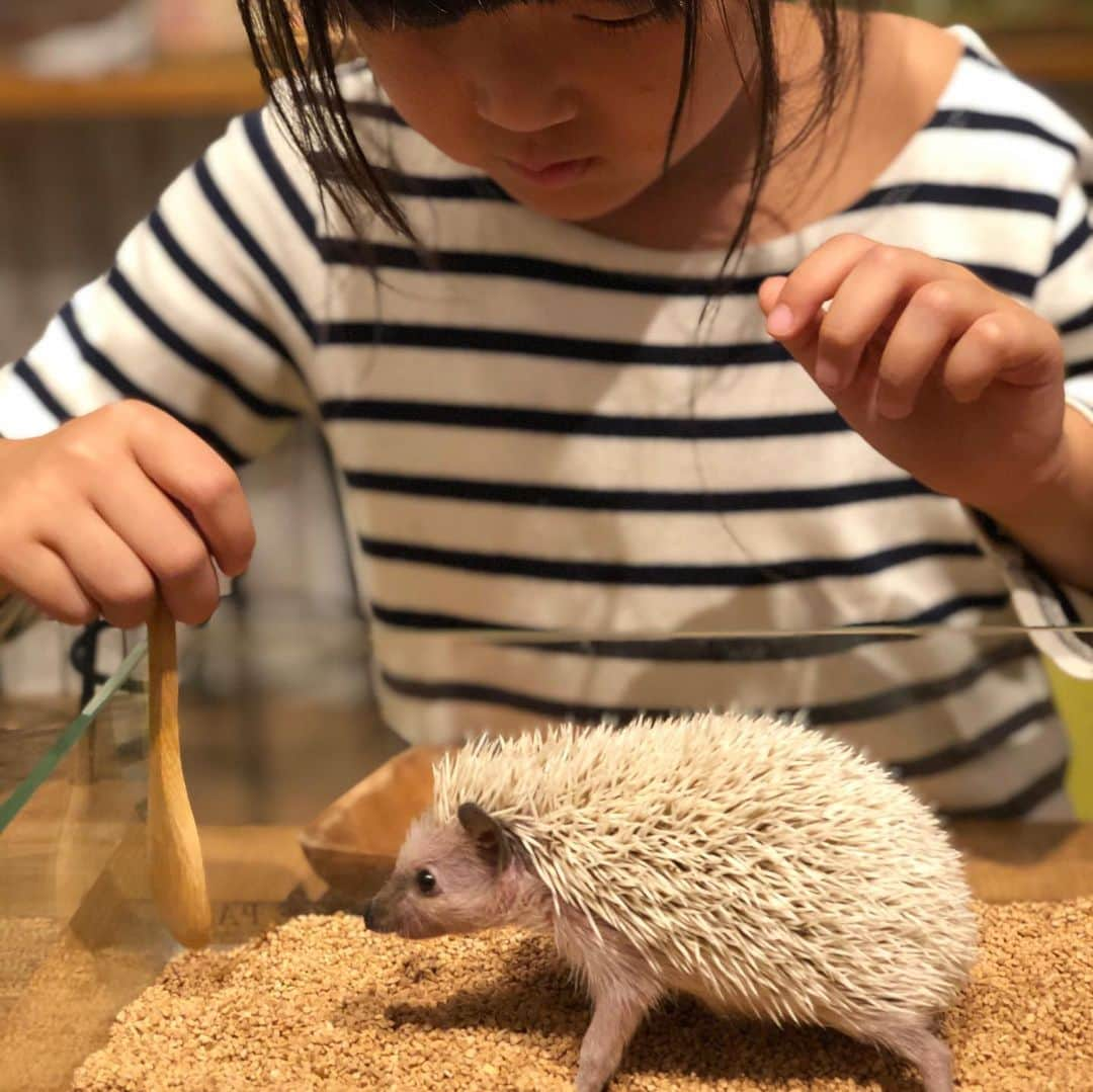 岩上陽子のインスタグラム