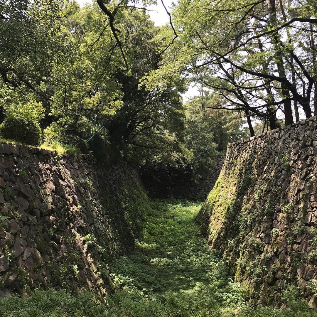 きゃっするひとみーさんのインスタグラム写真 - (きゃっするひとみーInstagram)「徳川家康が天下普請で作り上げた巨大城郭 #名古屋城 。当時豊臣家は大阪城に健在で、対大阪対策として建てた城。この時点でもうメラメラやんな。笑 ほんま家康好きやわ😂 . 以前もきたことがありましたが、お城の知識をもってくるのは初めて。もうね。全てが規格外。大きいし豪華。すごかった。天皇家の城の時期もあってんな。✨✨徳川家康にまつわるお城は結構めぐりましたが、ほんとに全てが圧倒的！！！ . 築城には加藤清正も関わっていて、石垣がとにかく最高。そして清正の築城の特徴でもある実践的な作り。🏯（清正は熊本城にも関わってますよ） . 空堀と水堀が半々くらいなのも印象的。大阪城と同じで、台地の上にあるので地形的なものかな。😊✨ . 櫓と復元された御殿は次回🏯✨ . 名城公園のランステを利用しましたよー✨✨✨ . #しゃちほこ #鯱鉾 #シャチホコ #名城公園 #名城 #みゃー . #きゃっするのきたおしろ」10月27日 22時43分 - takaxjumppp