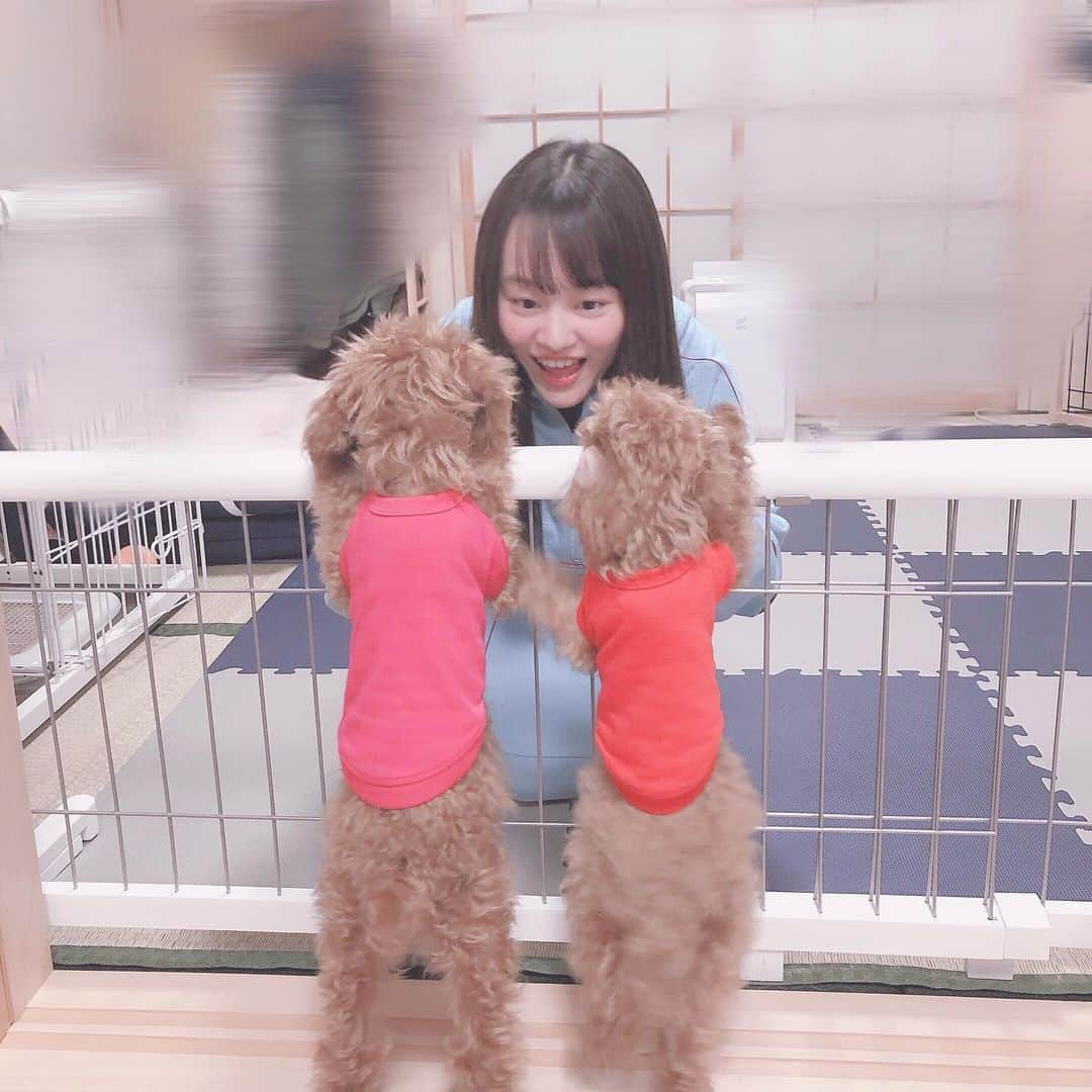 平瀬美里さんのインスタグラム写真 - (平瀬美里Instagram)「最前を管理するデコノフとぷにノフ♥️💖」10月27日 23時09分 - misatohirase