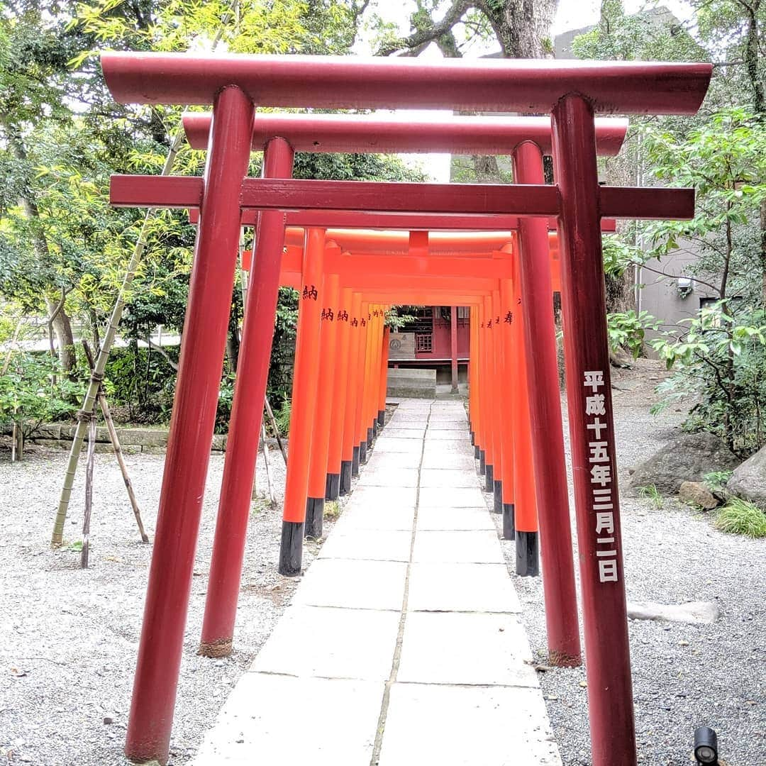 三喜本惠美さんのインスタグラム写真 - (三喜本惠美Instagram)「・ 来宮神社へお参りして来ましたよ🙏 樹齢2000年の大楠は日本でニ番目 太さは日本一だそうです😌 一周すると願いが叶うとか… とにかく凄い迫力でとてもじゃありませんが きやすく触れません‼️ 宮司さんがデザインされた境内は モダンで清潔で斬新でした✨ 茶寮では甘酒にシフォンケーキを頂きながら ひと休憩できちゃいました😋 #来宮神社#熱海旅行#熱海観光#御神木#樹齢2000年#大楠#楠のアロマオイルをゲット#娘は砂利に夢中#パパが片付け苦戦😅」10月27日 15時45分 - megumi_mikimoto