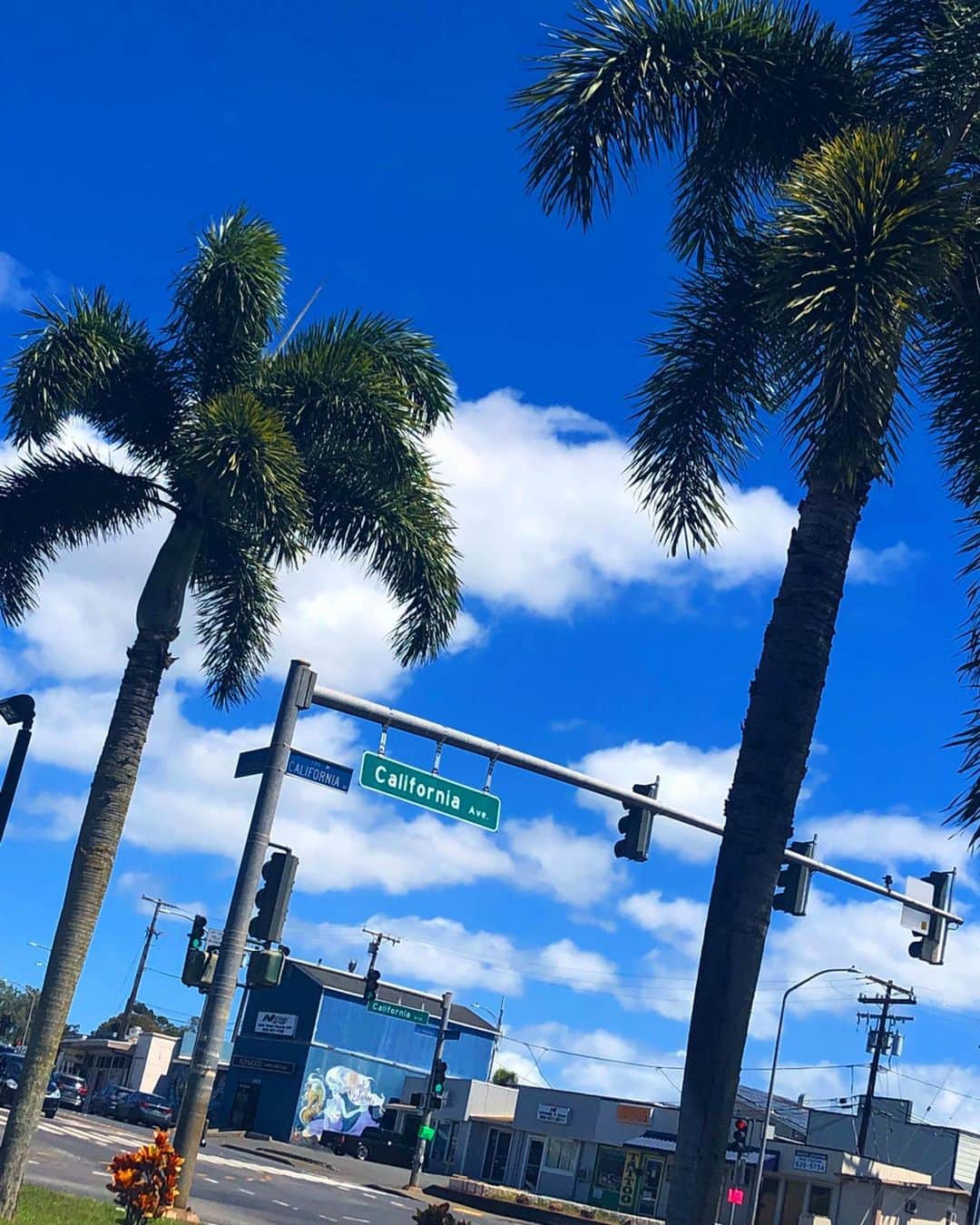 山田愛さんのインスタグラム写真 - (山田愛Instagram)「#summervibes  自然の青がめっちゃ好き🌊 #hawaii には好きなものがたくさんある🌴💙 #palmtrees #ocean #blue #hawaii #hawaiian」10月27日 16時10分 - aiyamada_