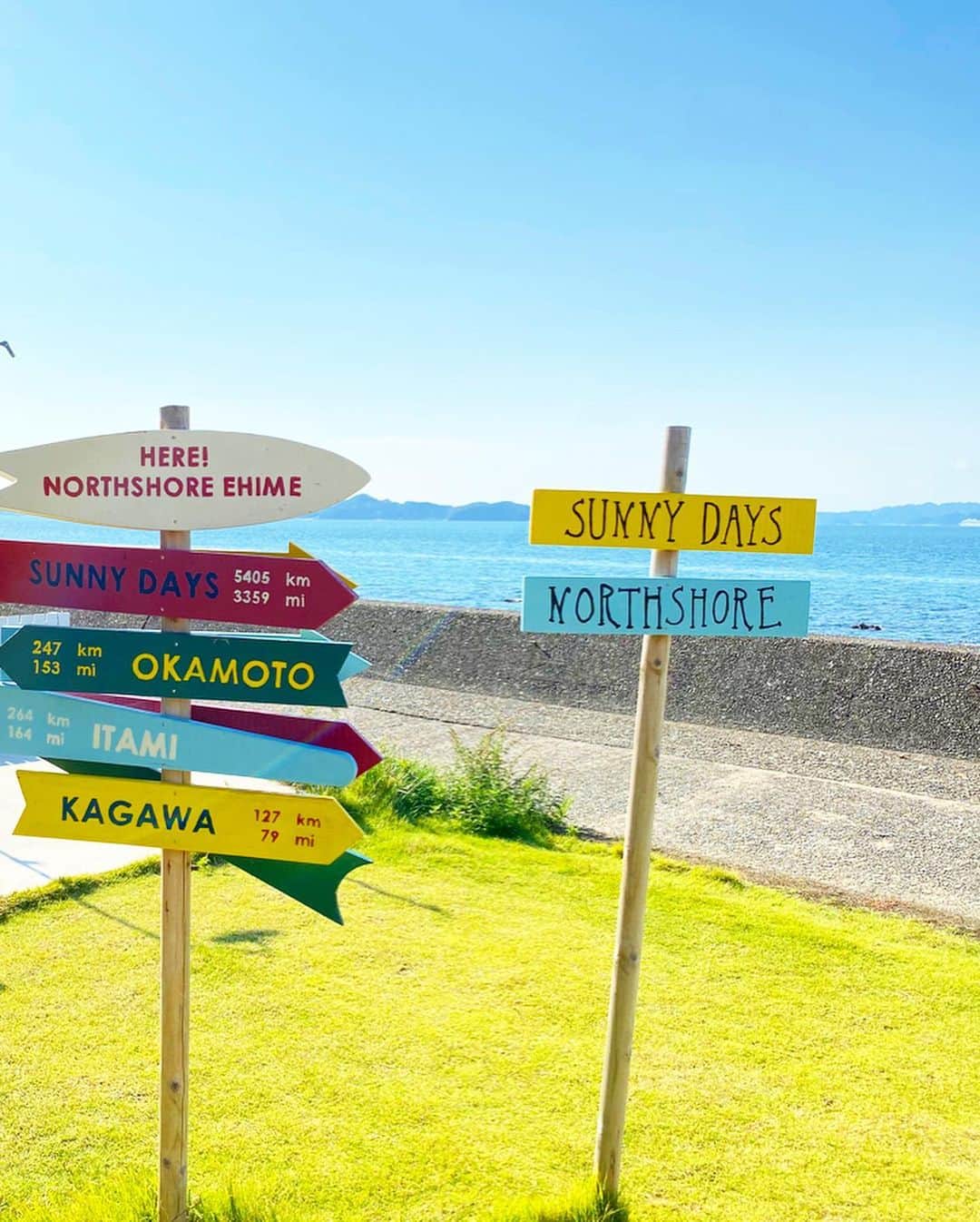 西村彩香のグルメインスタ