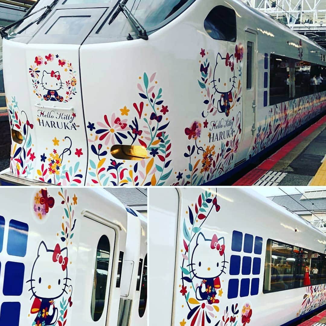 大川良太郎さんのインスタグラム写真 - (大川良太郎Instagram)「乗ってみたいなキティーちゃん電車😻😻😻可愛すぎるやろ〰️〰️❤️💕乗りたい❗乗りたい❗いつ乗れるかな❔皆さんは乗った事ありますか❔ #キティーちゃん#キティちゃん #はるか#電車#かわいい#乗りたい」10月27日 17時18分 - gekik9_ryotaro