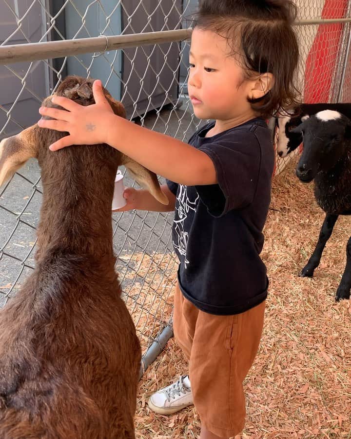 高木りなのインスタグラム：「息子の餌は皆食べず...🐐🦙 아들이 주는 먹이는 아무도 안먹음. #ドンマイ」