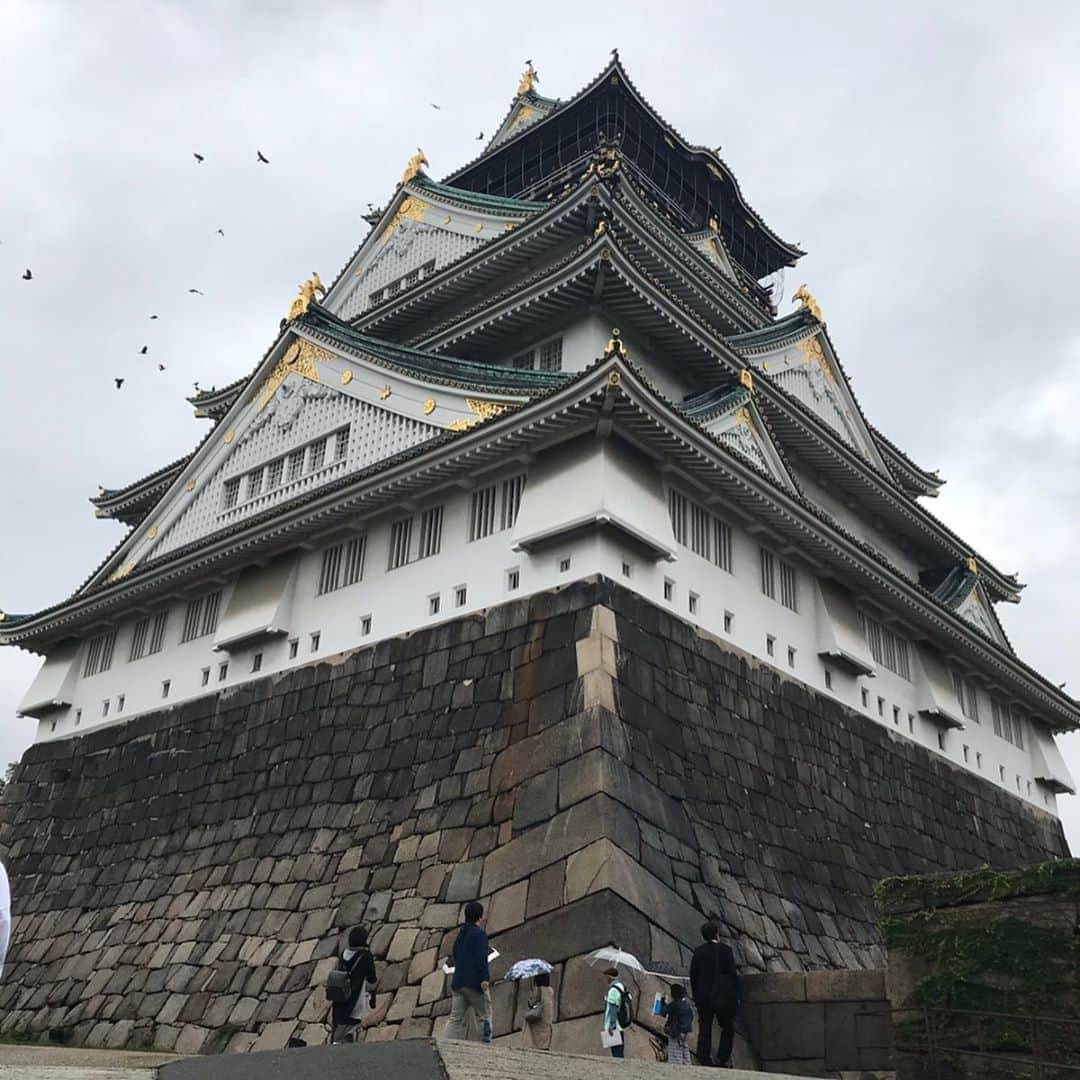 森遥香さんのインスタグラム写真 - (森遥香Instagram)「. お仕事で大阪に行っていました🚄 マネージャーさんと合流する前に時間があったので、 一人で大坂城へ🏯🏃‍♀️ 大坂城を訪れるのは10度目くらいですが、雨が降っていると石垣が濡れて色が深まりまた美しいんです。 石垣と雨の相性は最高です☺︎ . . ▶︎blouse(lpg812-0602)/ @lialapg . @joint_space #lialapg #liala_fashion #jointspace #pr #ottd #歴女 #城マニア #大坂城 #三国無双の天守と言われています #城の見える街に住みたい #マンホール .」10月27日 17時31分 - moriri_h