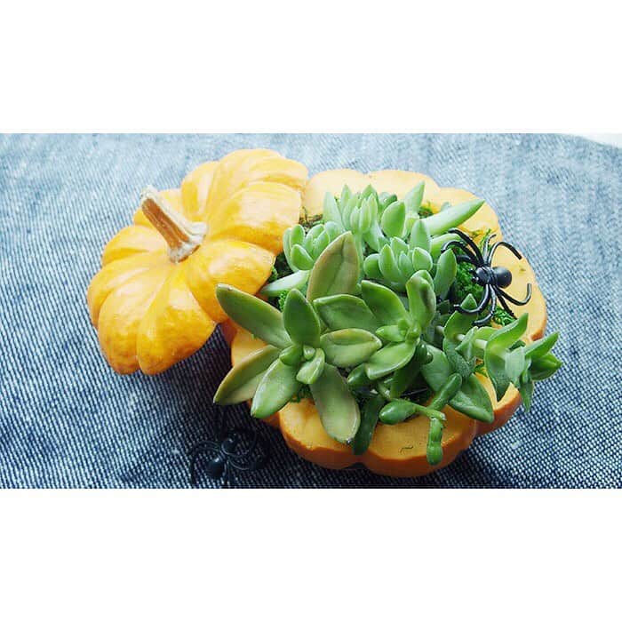 LOVEGREEN -植物と暮らしを豊かに。さんのインスタグラム写真 - (LOVEGREEN -植物と暮らしを豊かに。Instagram)「. 10月31日(木)はハロウィンですね🎃👻🧟‍♀️🧟‍♂️ . 昨日や今日は、みんなでハロウィンパーティーなどをして、ハロウィン気分を味わっているところでしょうか？🎃 . LOVEGREENでも、かぼちゃのランタンの作り方やリースの作り方、ハロウィン後のカボチャの活用方法までをまとめた記事を公開中です。 LOVEGREEN編集部が実際に実践して作った記事ばかりですので、ぜひお部屋でハロウィンを楽しむ参考にしてみてください😊 . ハロウィン記事は、LOVEGREENのTOPページで公開中！ instagramプロフィールページのURLよりご確認ください💁‍♂️💁‍♀️ #ハロウィン #ハロウィン飾り #ハロウィン飾り付け #ハロウィン🎃 #ハロウィン装飾 #ハロウィン仕様 #ハロウィン雑貨 #ハロウィン2019 #ハロウィンリース #ハロウィンリース手作り ＃ハロウィンカボチャ #かぼちゃランタン #ハロウィンアレンジメント #植物のある暮らし #花のある暮らし #植物のある生活 #ラブグリーン #ボタピー #botapii #lovegreen」10月27日 17時33分 - lovegreen_official
