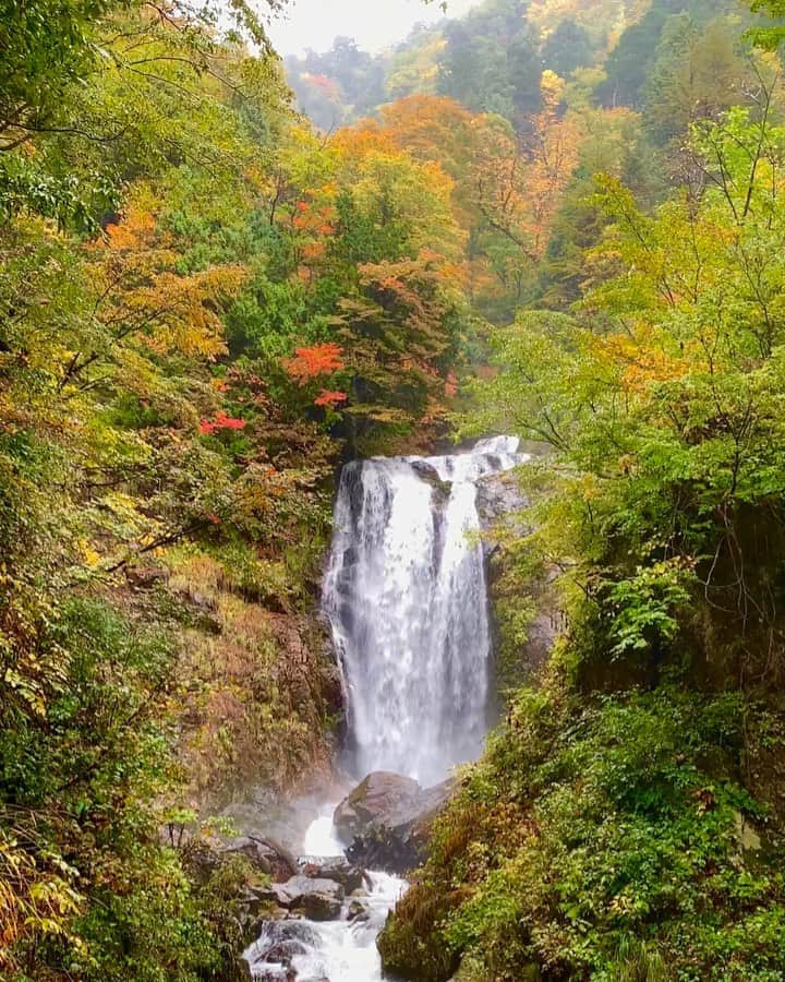JAPANのインスタグラム：「天生県立自然公園」