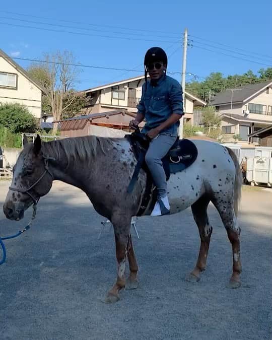 のインスタグラム：「乗馬🐴🐴🐴 相棒のアンバーくんとお散歩😆  この時のアンバーくん少し眠そうだったな。。。笑  #乗馬 #お馬さん #アンバー  #迫力 #満点 #散歩  #時差スタグラム」