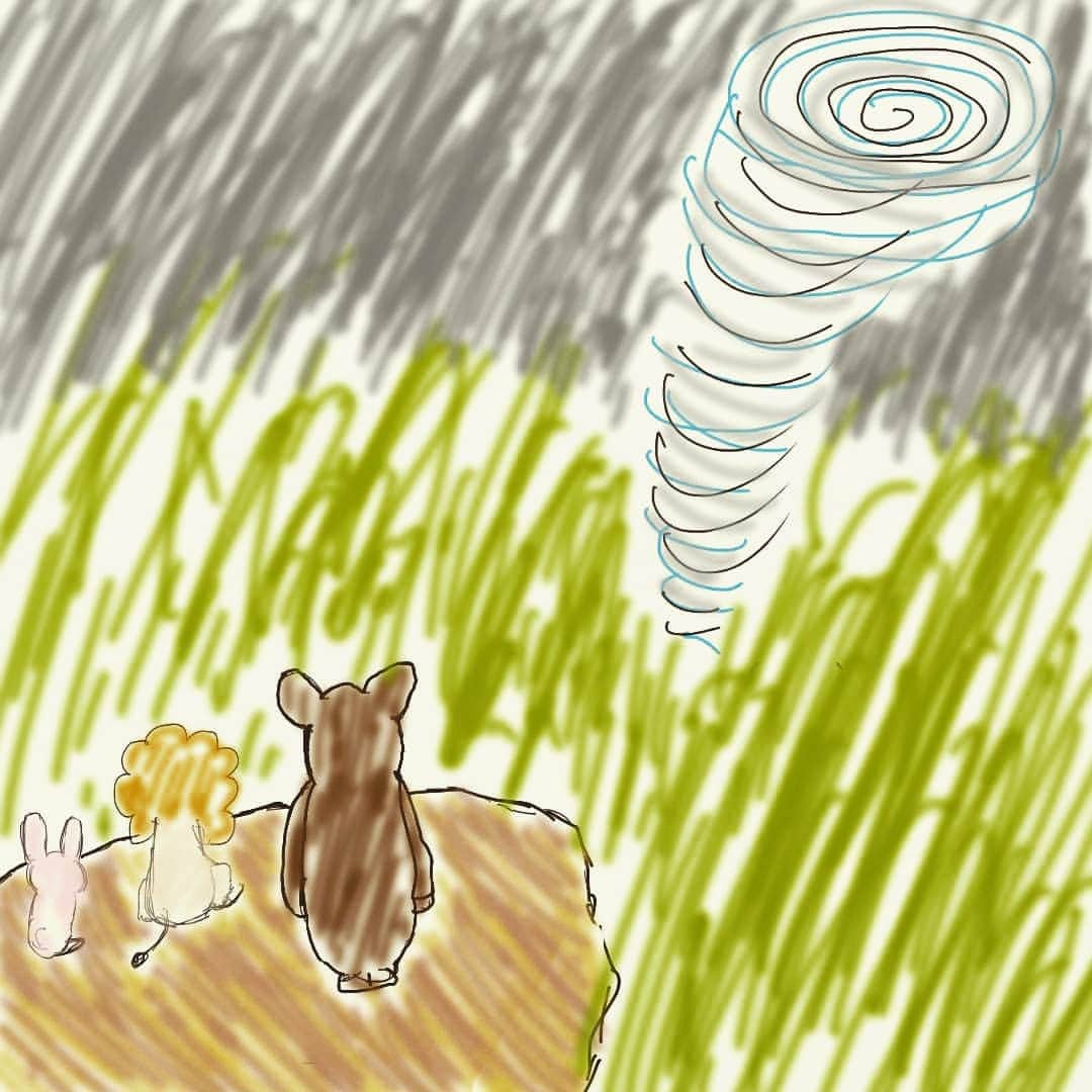 ニシダのインスタグラム：「台風に立ち向かう動物たち」