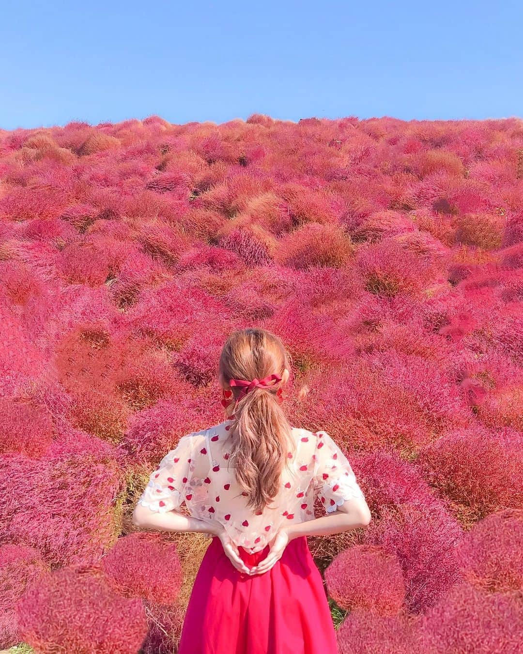tomomi ❤︎ よしはしともみ ❤︎さんのインスタグラム写真 - (tomomi ❤︎ よしはしともみ ❤︎Instagram)「. . 一面真っ赤なコキアを見てきたよ〜❣️ . ネモフィラで有名な国営ひたち海浜公園は 秋は赤色のコキアが綺麗に咲いてるんだ〜🍂 . ネモフィラの時よりかは全然空いてて 渋滞も特になかったよ〜🐇📍 ちょうど今が見頃らしくてベストタイミングだった🌹 . #hitachiseasidepark #flowerpark #sisterjane #ootd #国営ひたち海浜公園 #海浜公園 #ひたち海浜公園 #コキア #コーデ #お花畑 #ポニーテール #フラワーパーク #シスタージェーン #ハートポーズ #お花畑コーデ #フォトジェニック #フォトジェニックスポット」10月27日 20時30分 - tomomi_yoshihashi