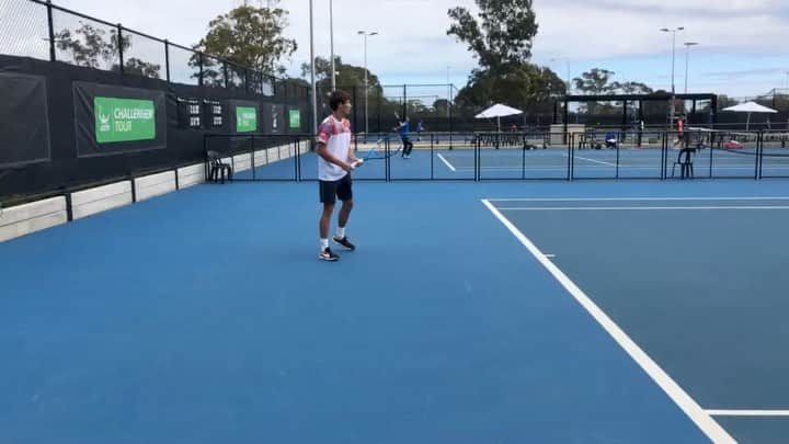 綿貫陽介のインスタグラム：「アデレード🇦🇺🐨🐨 🐨🐨」