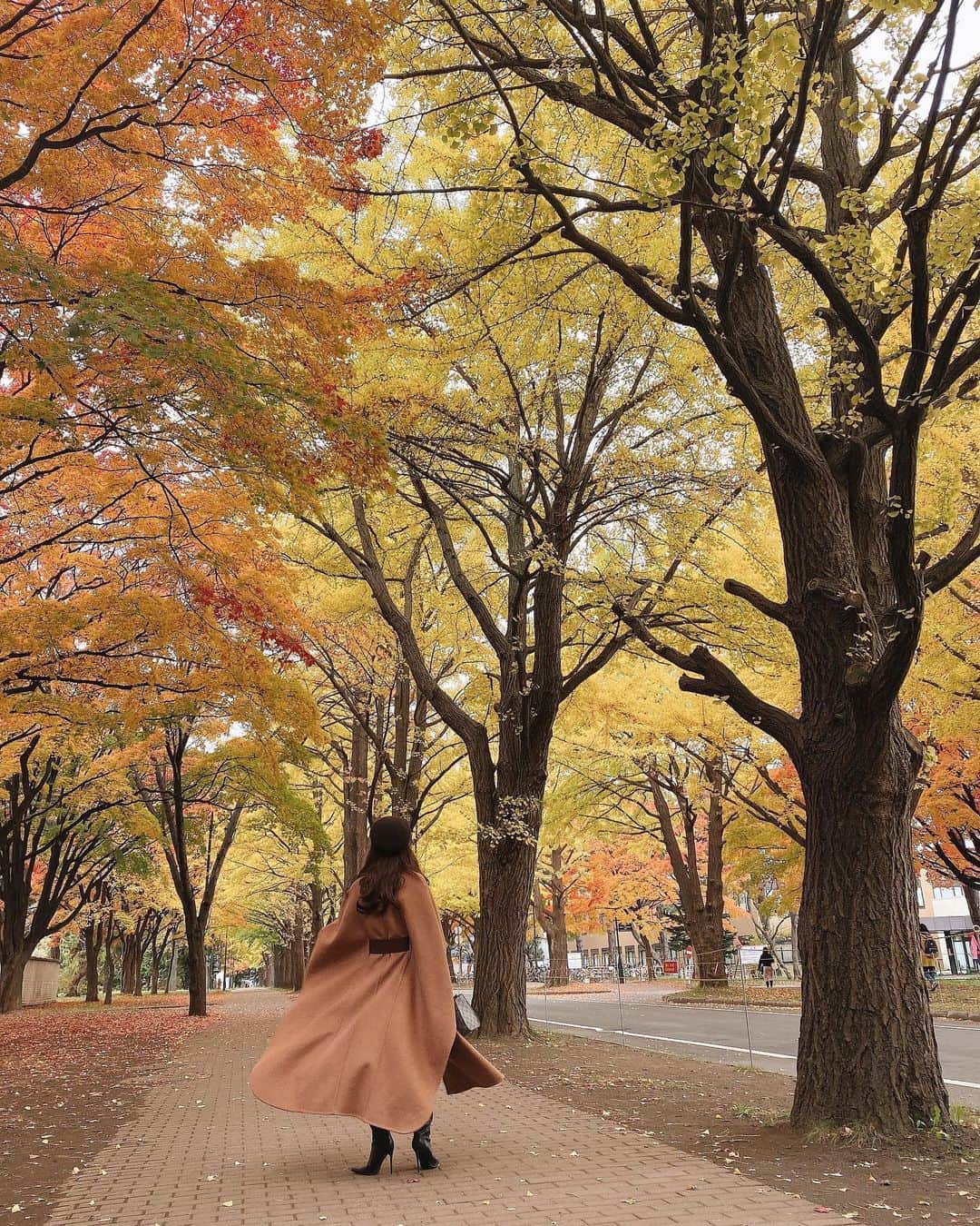 梯真奈美さんのインスタグラム写真 - (梯真奈美Instagram)「紅葉がとっても綺麗〜🍁❤️ 早朝で空気も清々しくて、 気持ち良かったよぉ〜✨✨ 後でinsta liveやるね🤭❤️ #紅葉 #札幌 #北海道  #eimy #eimyistoire」10月27日 21時05分 - official_manami