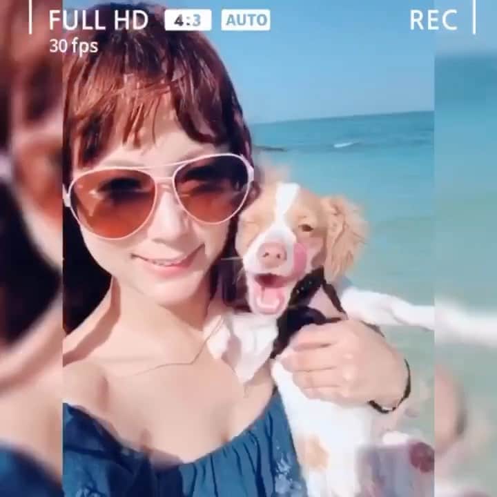 Arimeのインスタグラム：「オススメの今帰仁村のon the beach cafe目の前にある素敵なbeach👙 海が大好きなラビは泳ぐのが大好き💕 透明度も高くプライベートビーチ的な感じ、めっちゃ綺麗だょ〜😘 #沖縄の海 #okinawa #onthebeachcafe #beach #素敵 #景色 #今帰仁村 #nakigin #散歩 #mydog #mix犬 #海大好き #わんちゃん #透明度」